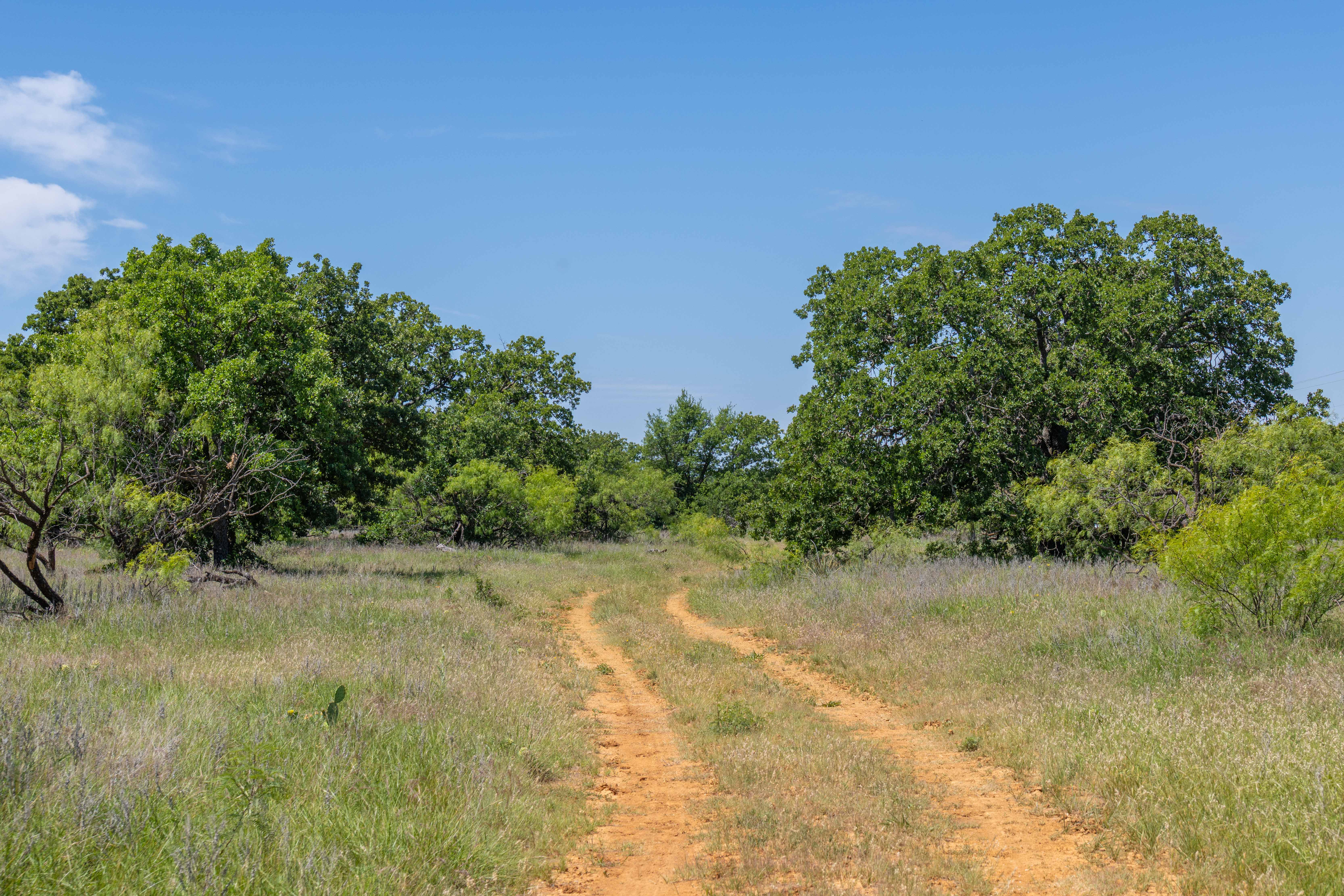 7582 Fm 2652 Loving TX 76460