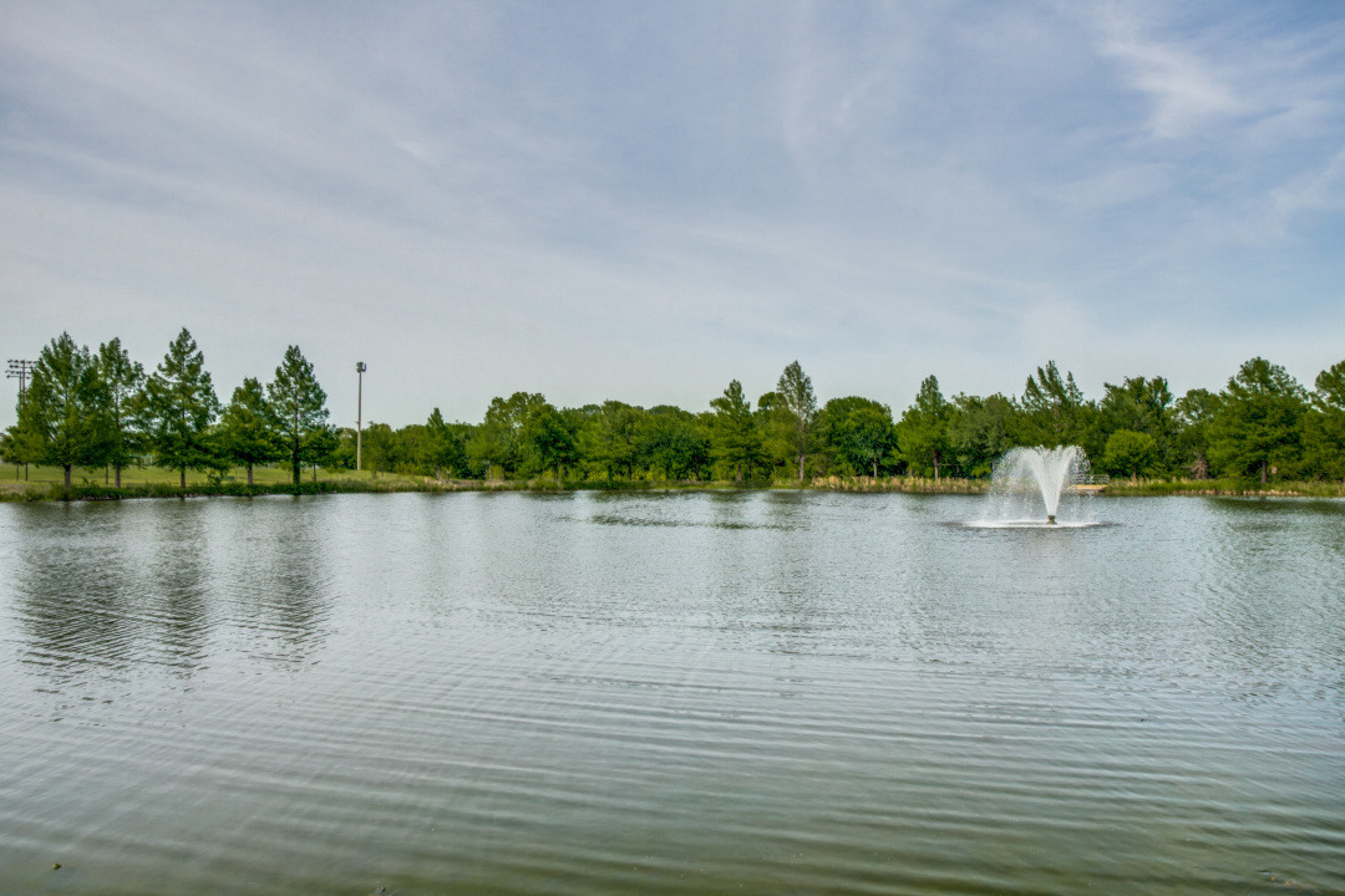 8009 Lynores Way Plano TX 75025