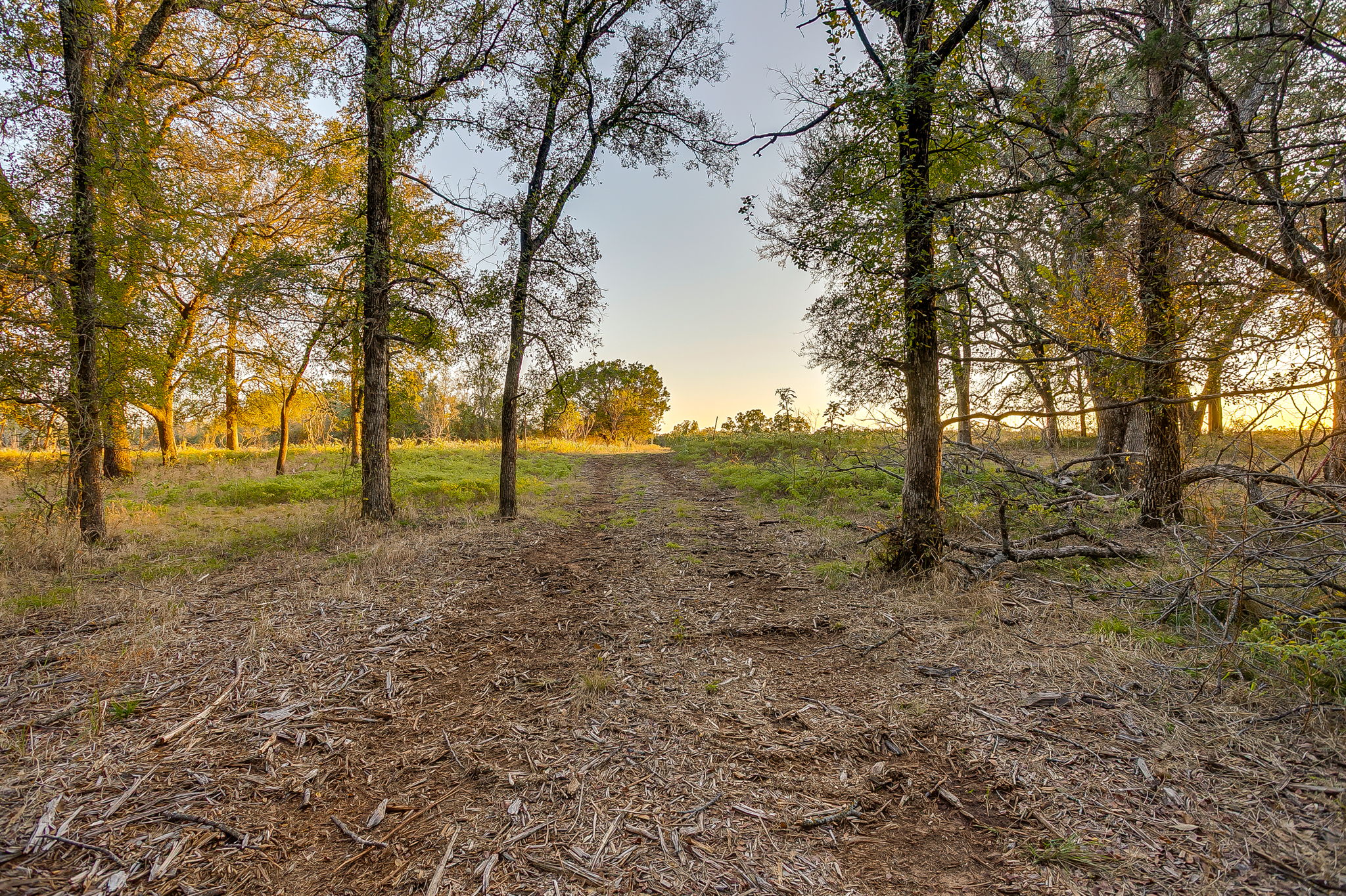51 Cattle Trail Palo Pinto TX 76484