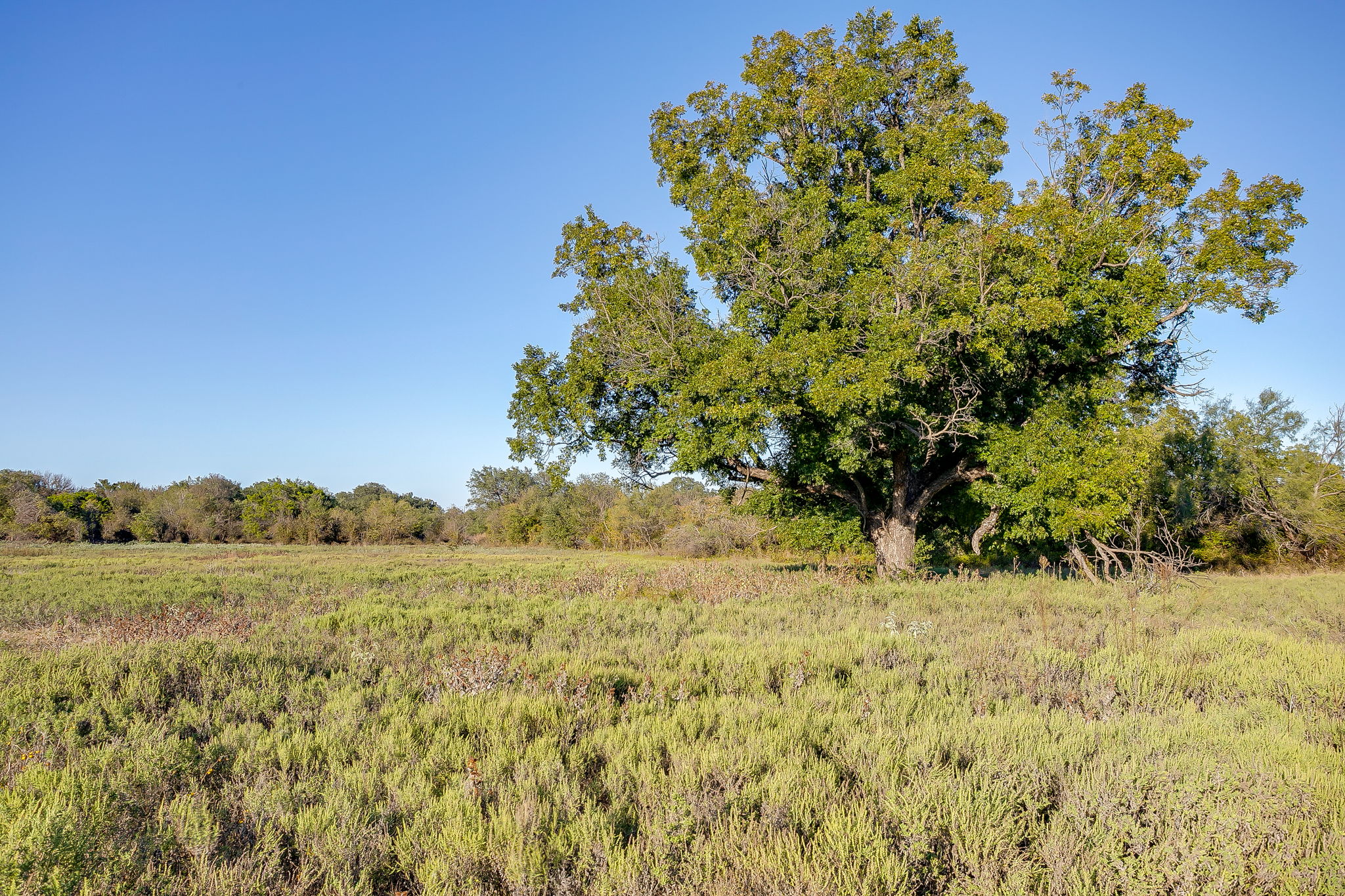 51 Cattle Trail Palo Pinto TX 76484