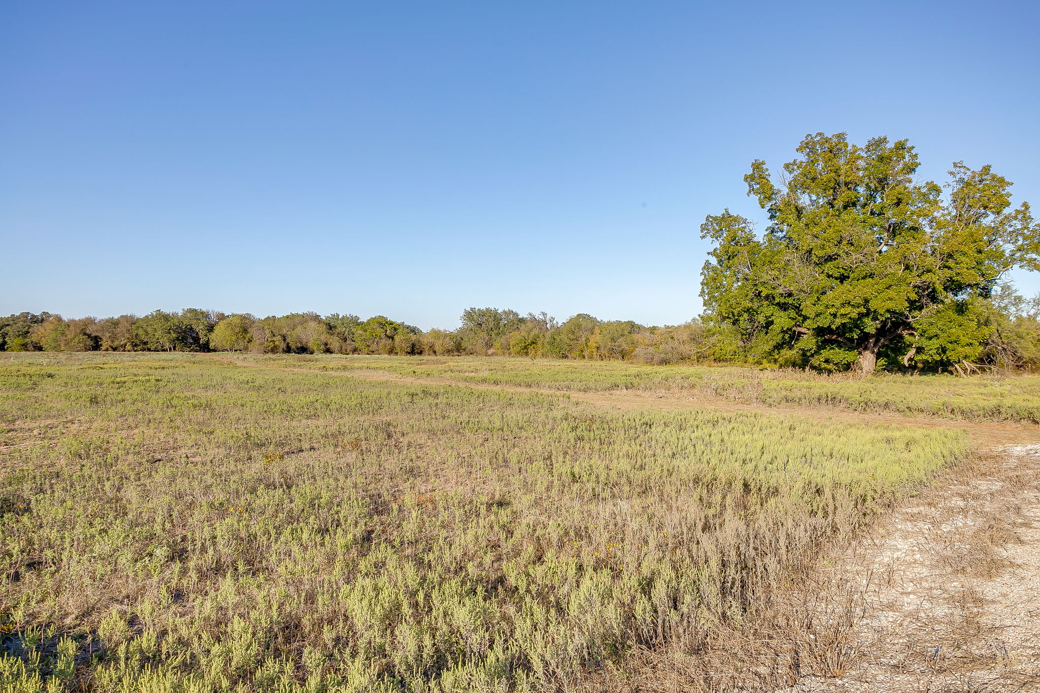 51 Cattle Trail Palo Pinto TX 76484