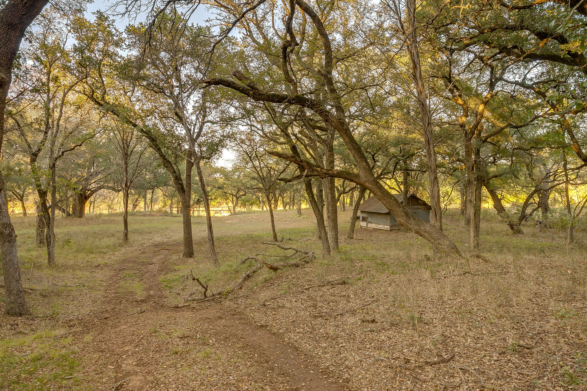 51 Cattle Trail Palo Pinto TX 76484