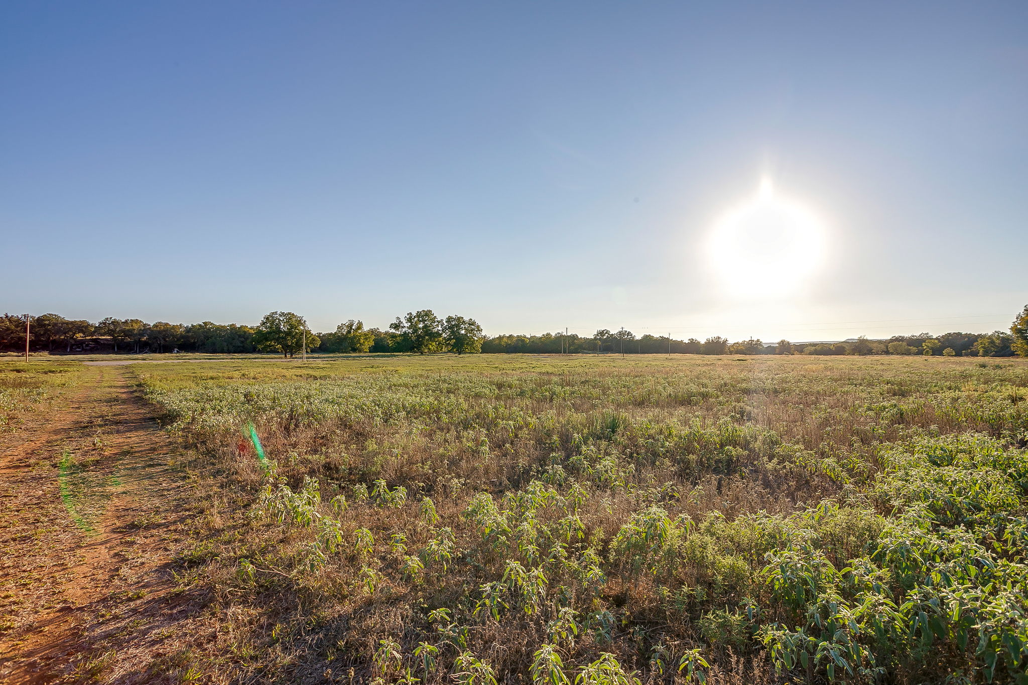 51 Cattle Trail Palo Pinto TX 76484