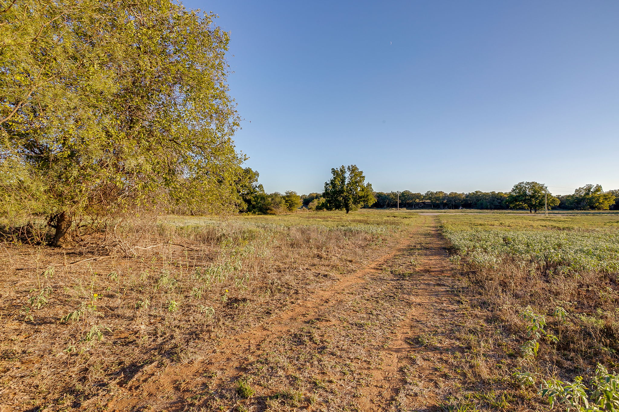 51 Cattle Trail Palo Pinto TX 76484