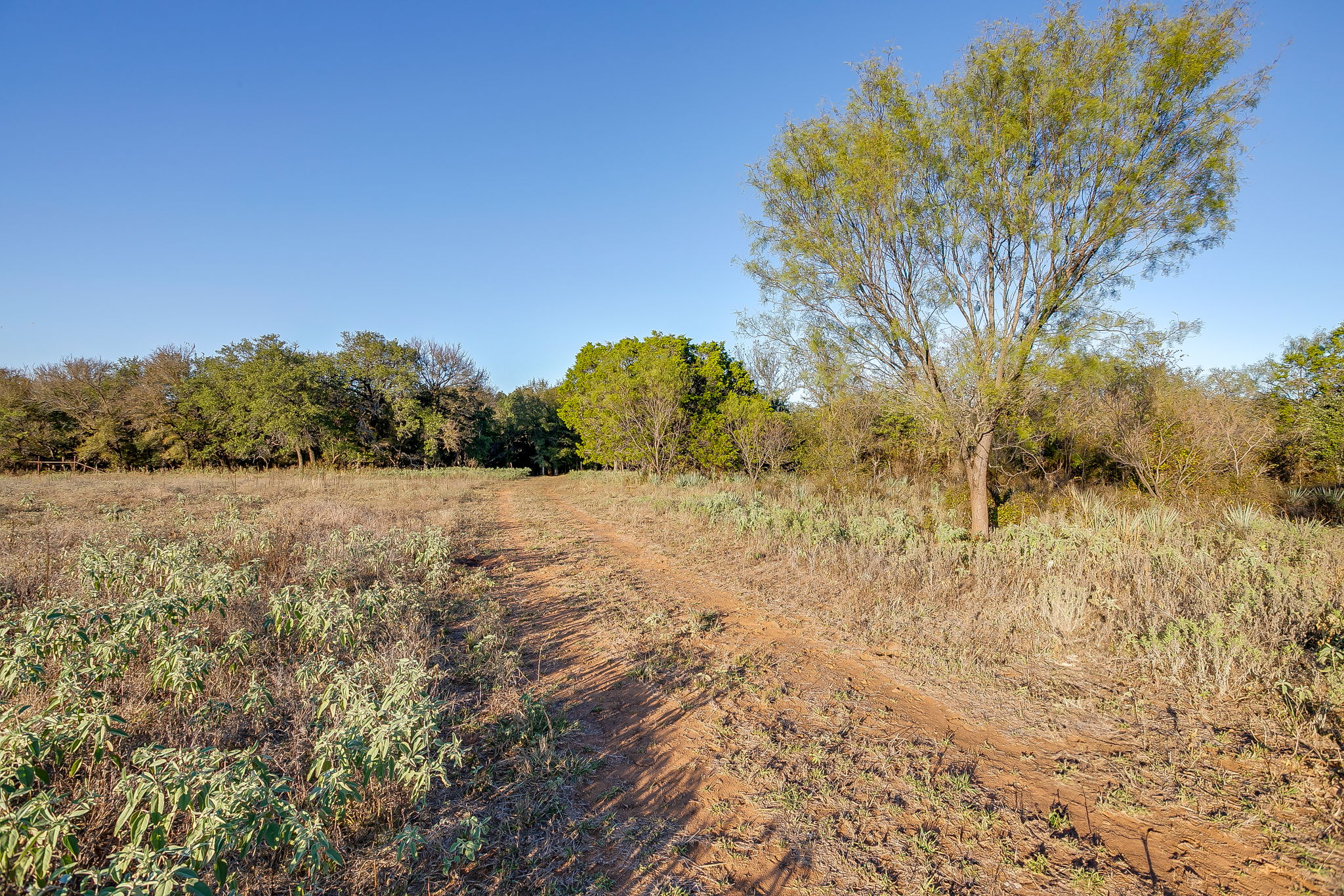 51 Cattle Trail Palo Pinto TX 76484