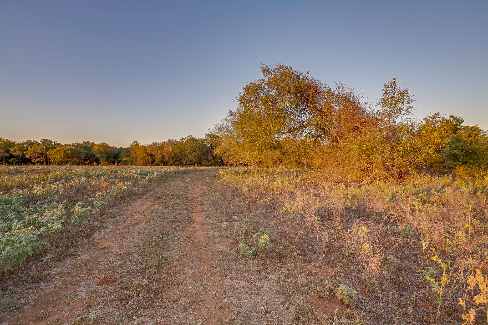 51 Cattle Trail Palo Pinto TX 76484
