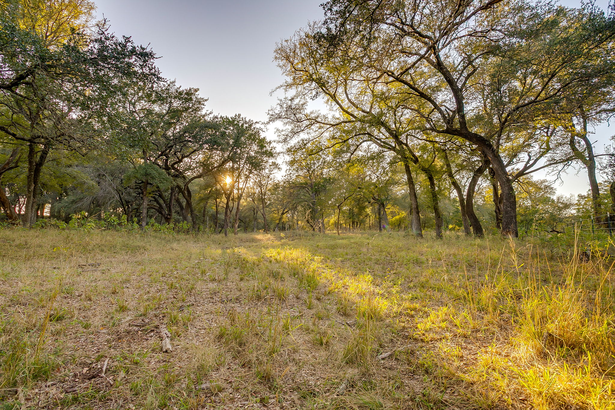 51 Cattle Trail Palo Pinto TX 76484