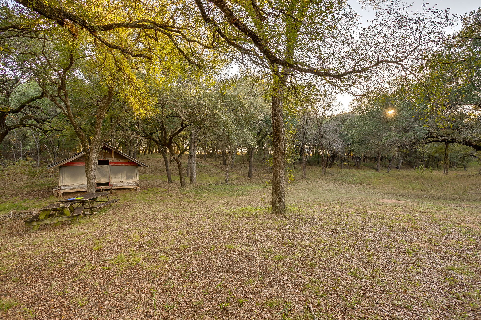 51 Cattle Trail Palo Pinto TX 76484