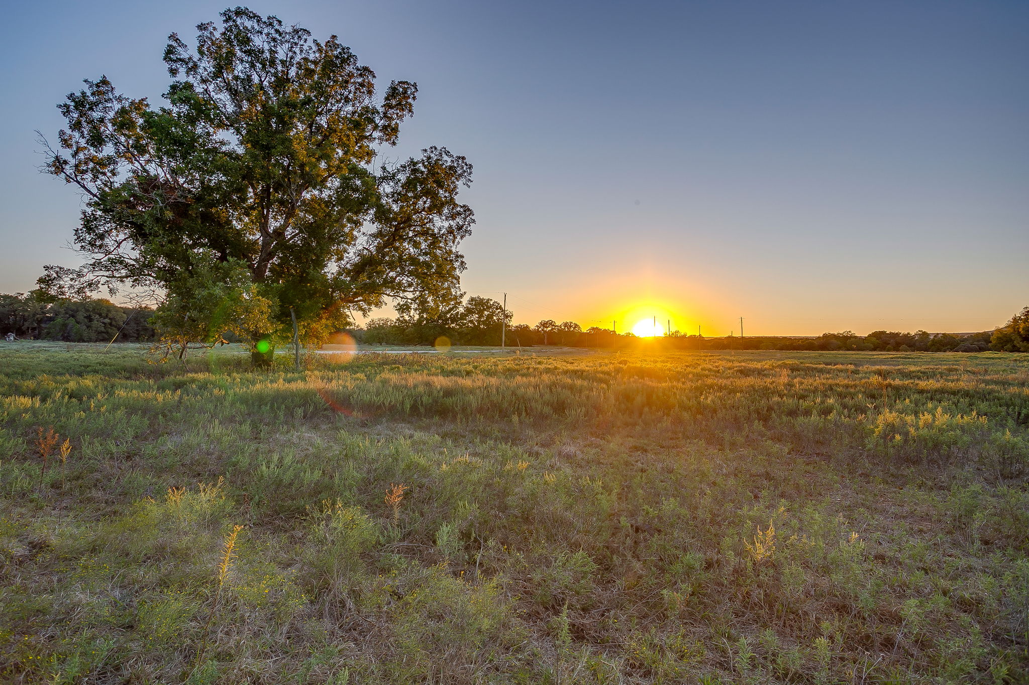 51 Cattle Trail Palo Pinto TX 76484