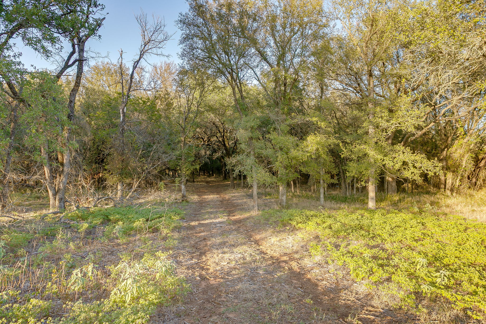 51 Cattle Trail Palo Pinto TX 76484