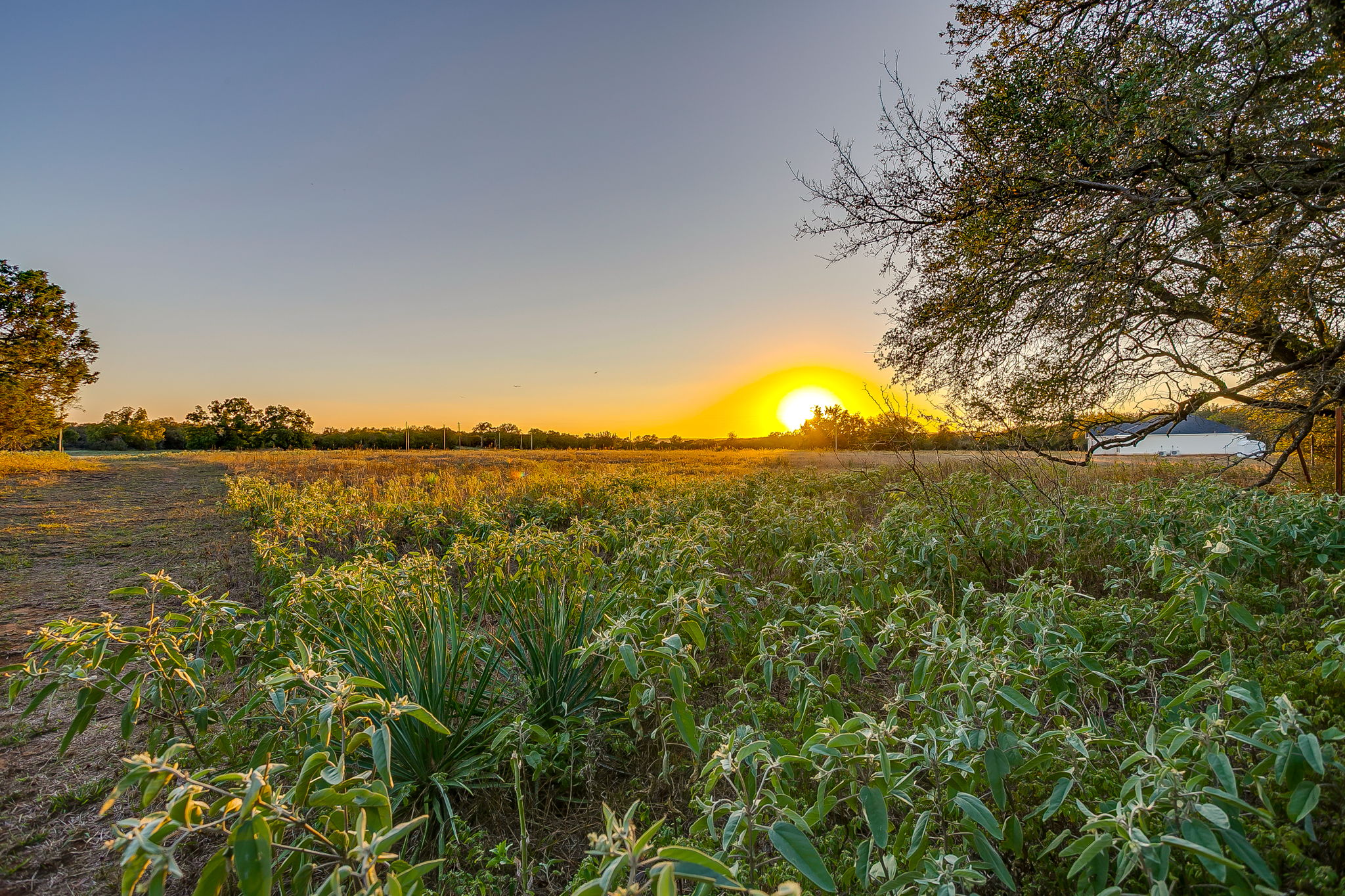 51 Cattle Trail Palo Pinto TX 76484