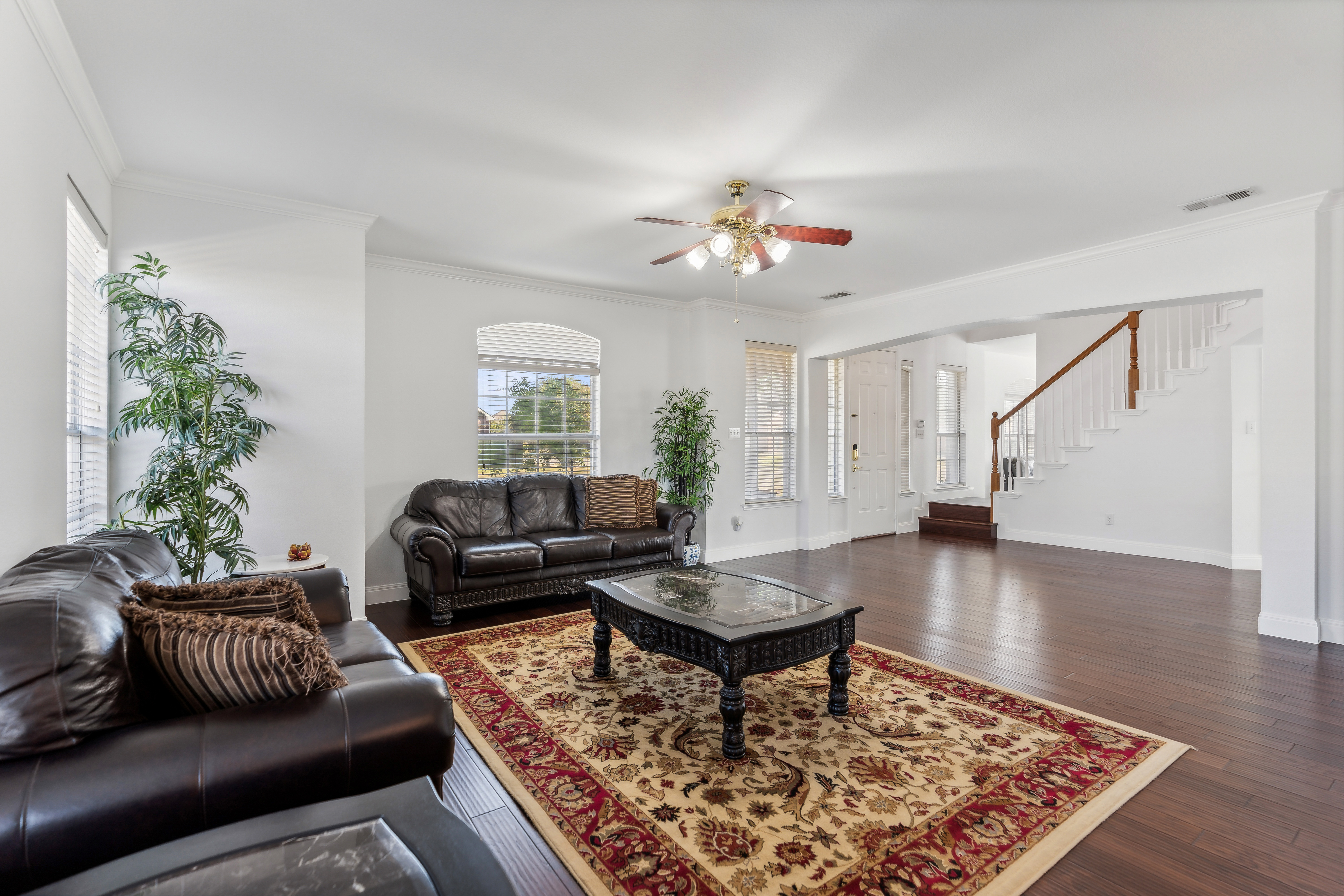 1501 Ector Drive Carrollton TX 75010
