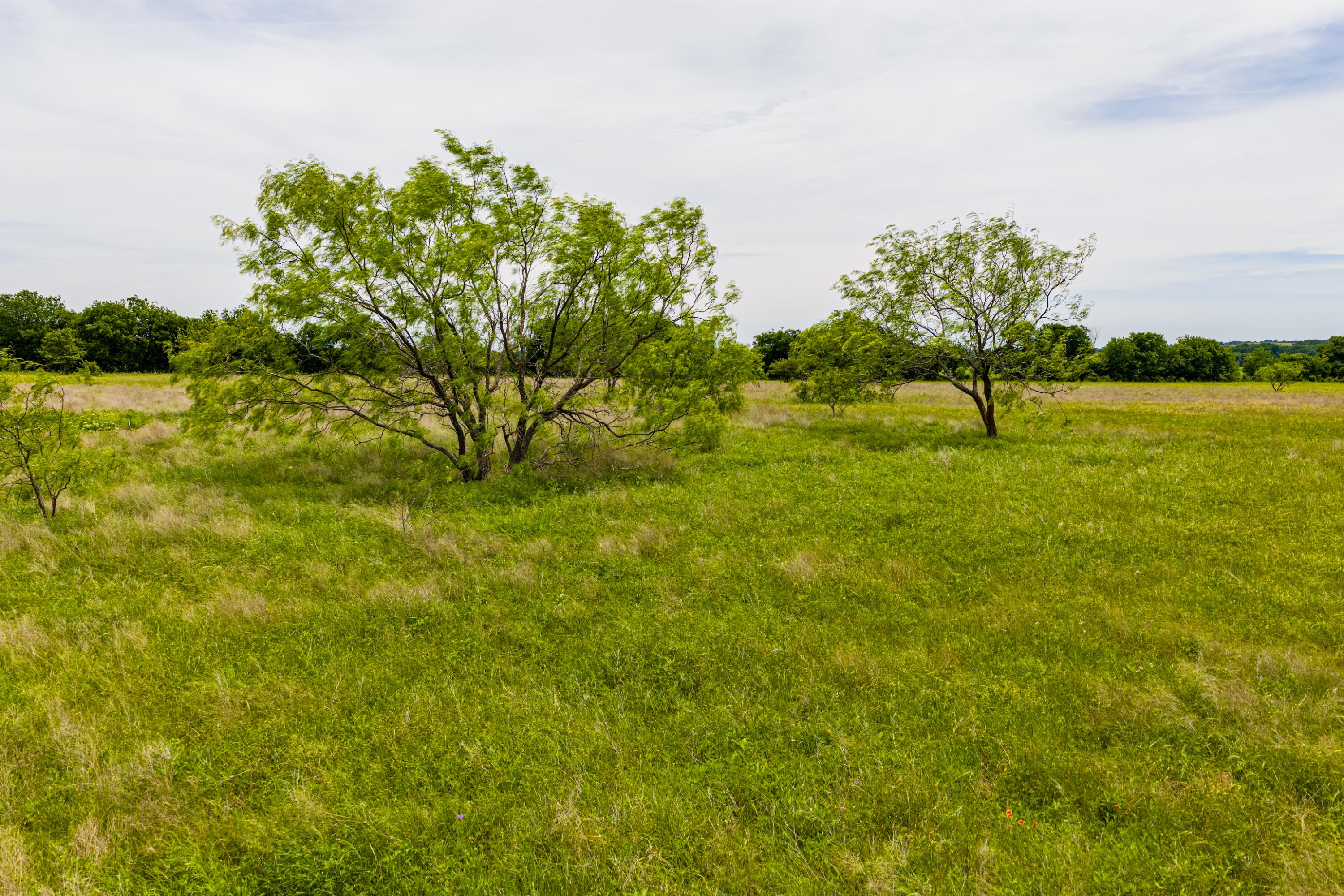 3900 W Highway 67 Cleburne TX 76033