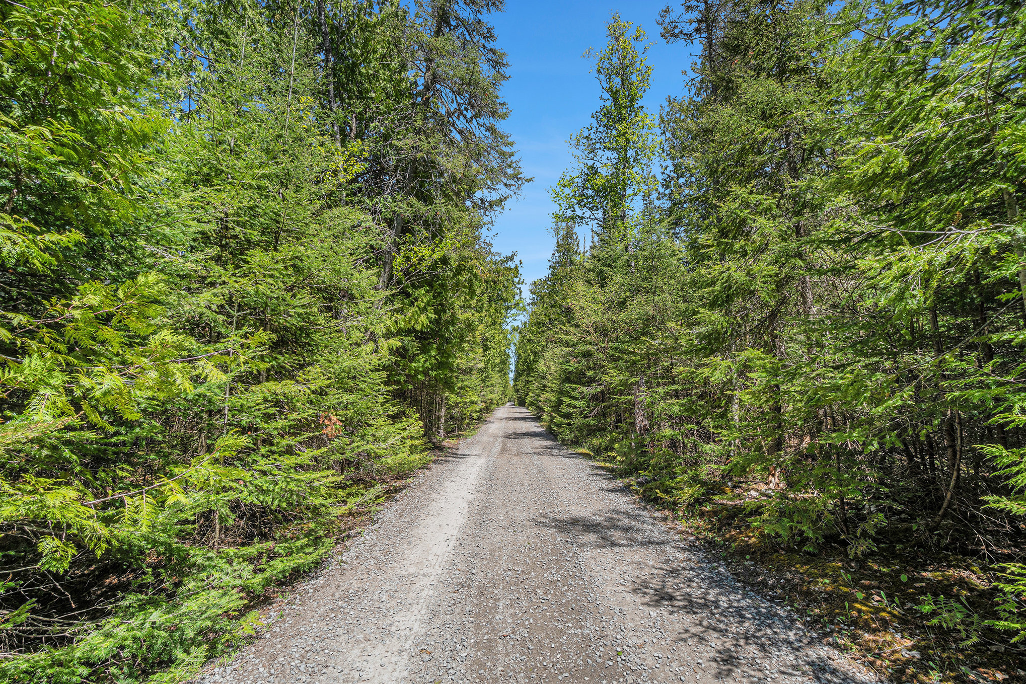 7177 Albany Point Road Presque Isle MI 49777