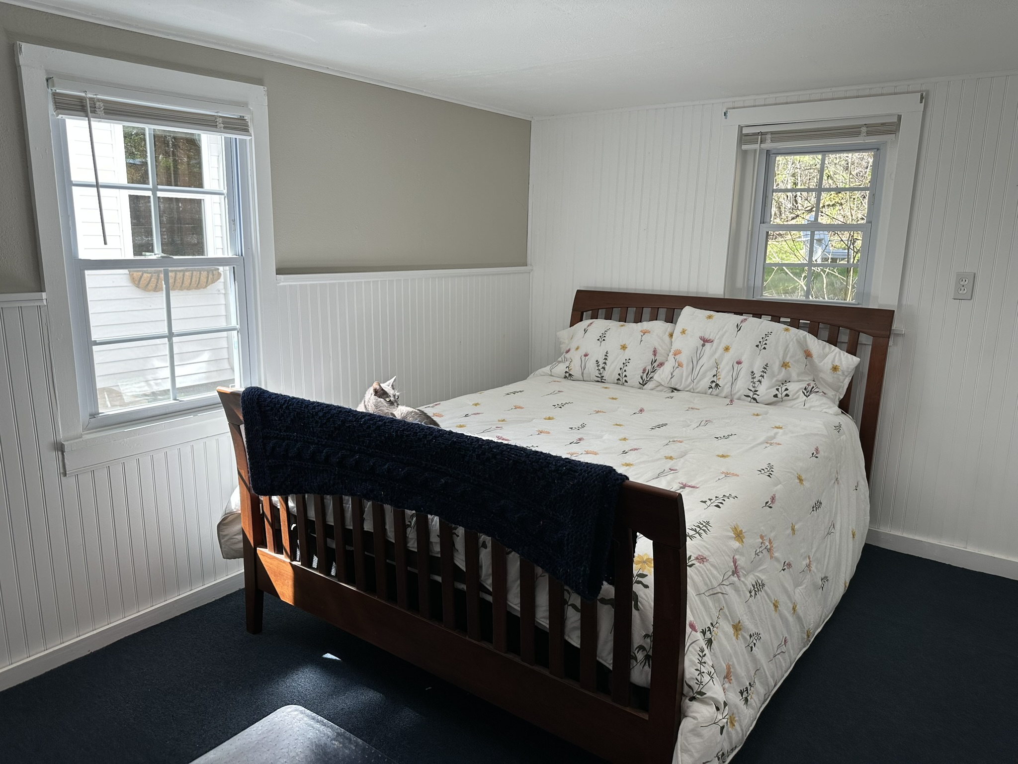 1209 E Mitchell Street Petoskey MI 49770