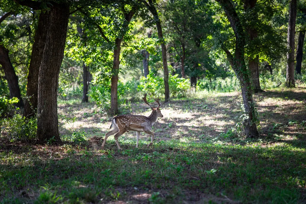 1100 Private Road 22004 Aquilla TX 76622