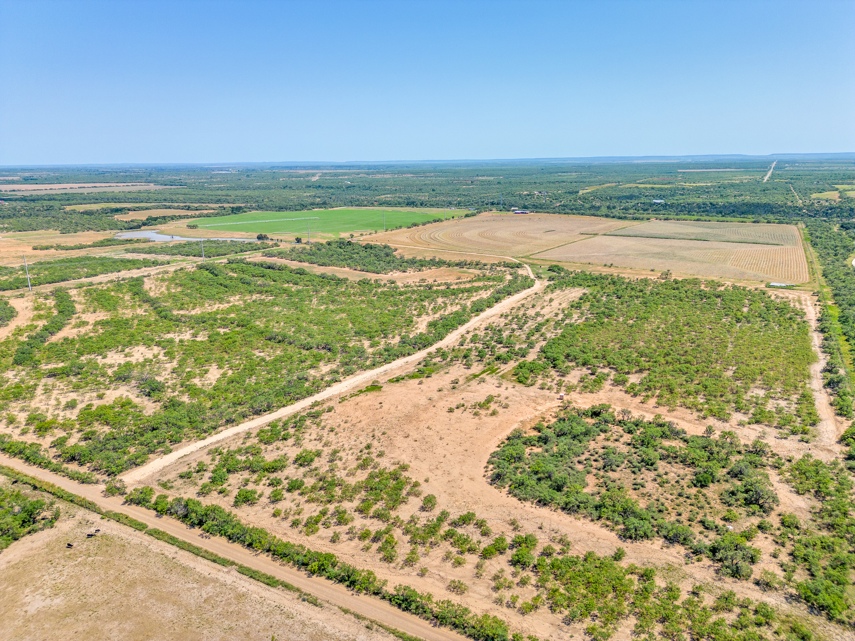 3638 County Road 312 Voss TX 76888