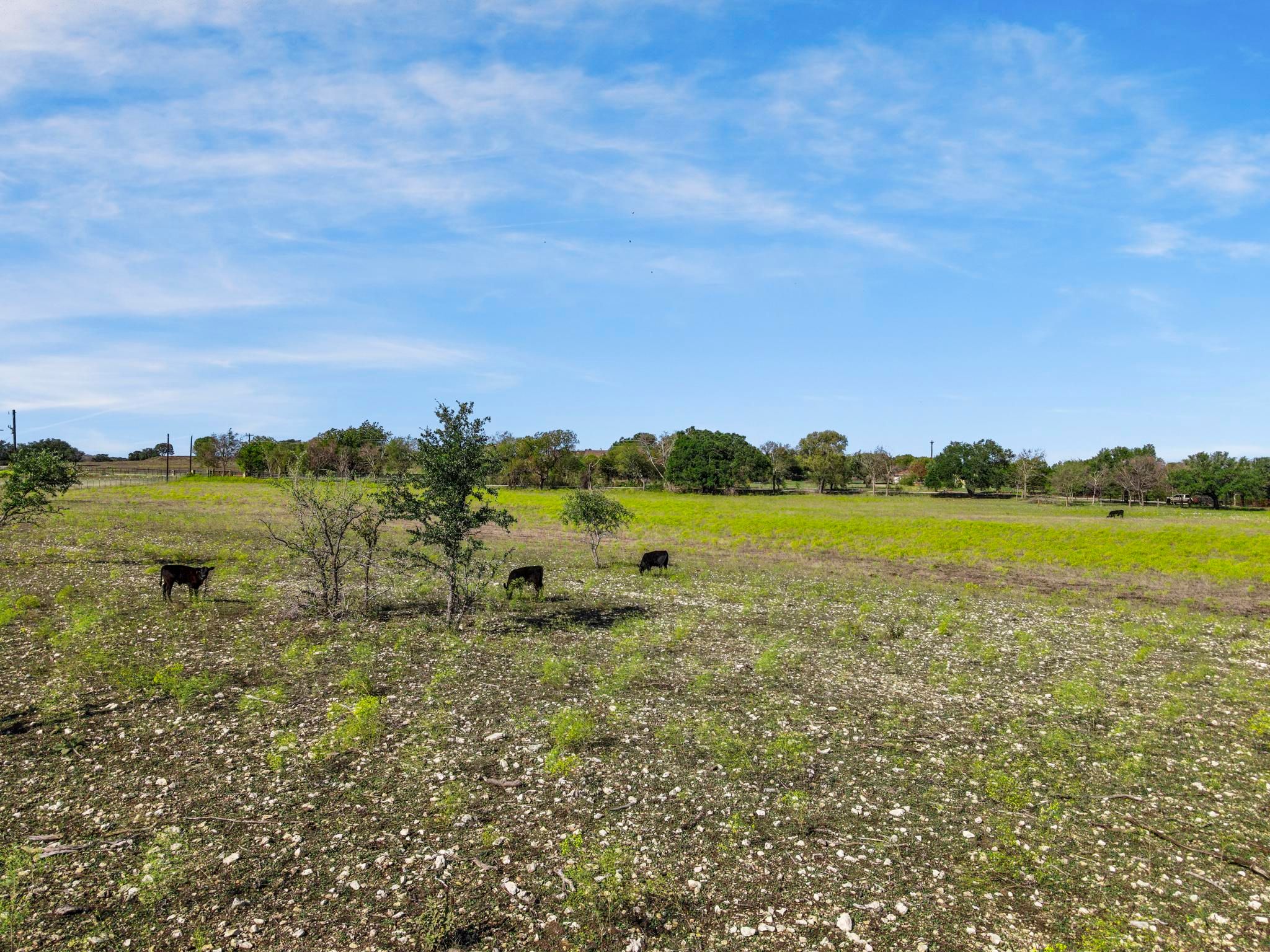 100 Tiffany Court Azle TX 76085