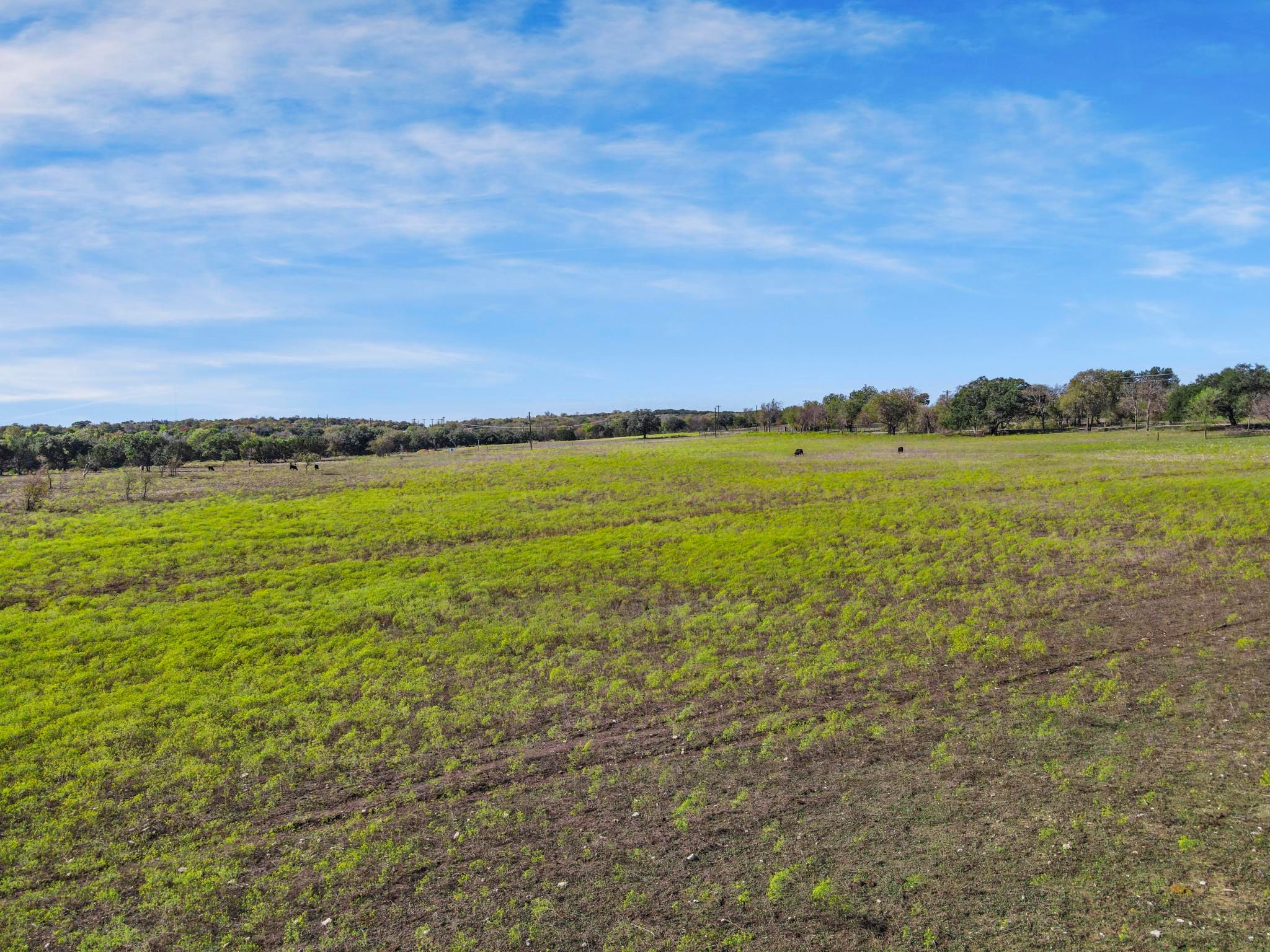 100 Tiffany Court Azle TX 76085