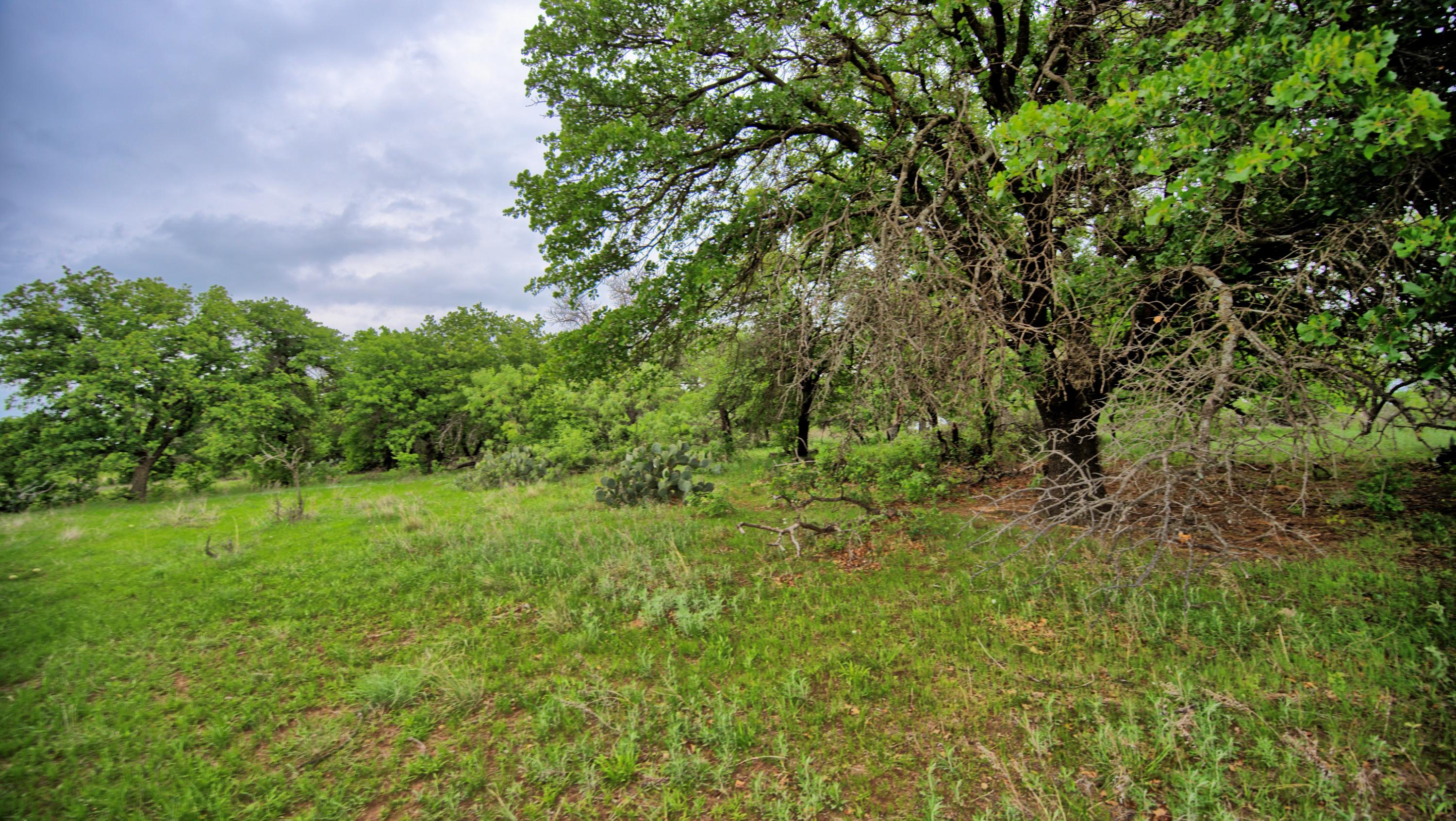 0 Watson Henrietta TX 76365