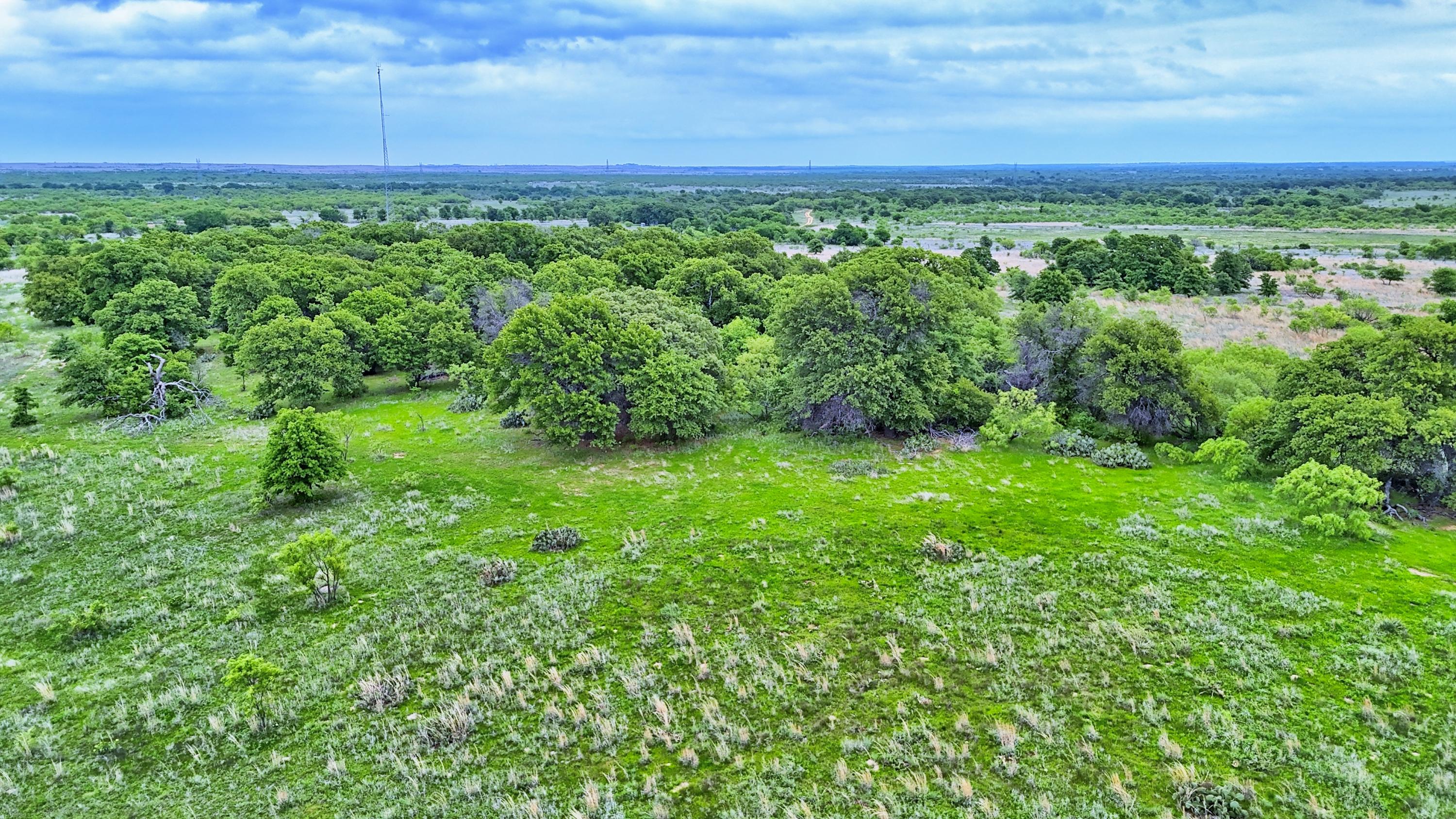 0 Watson Henrietta TX 76365