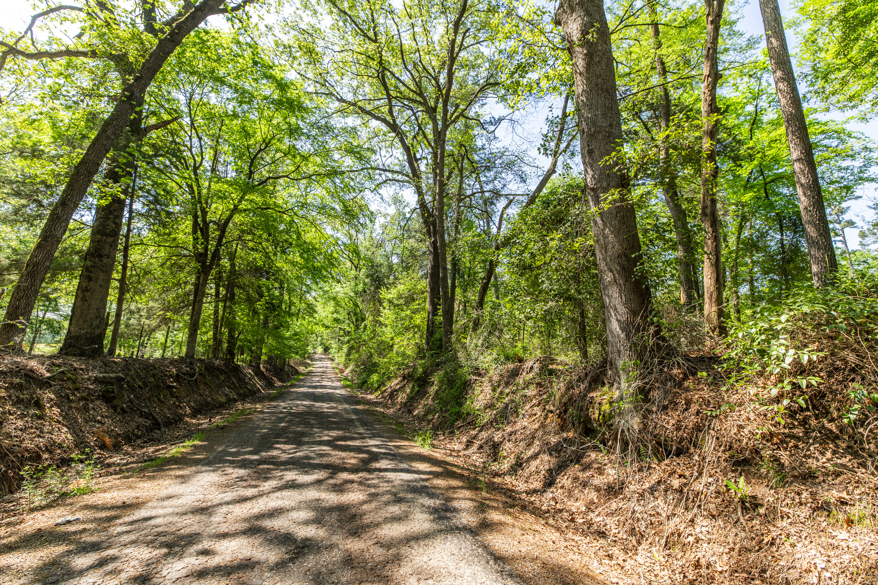 01 County Road 3322 Leesburg TX 75451