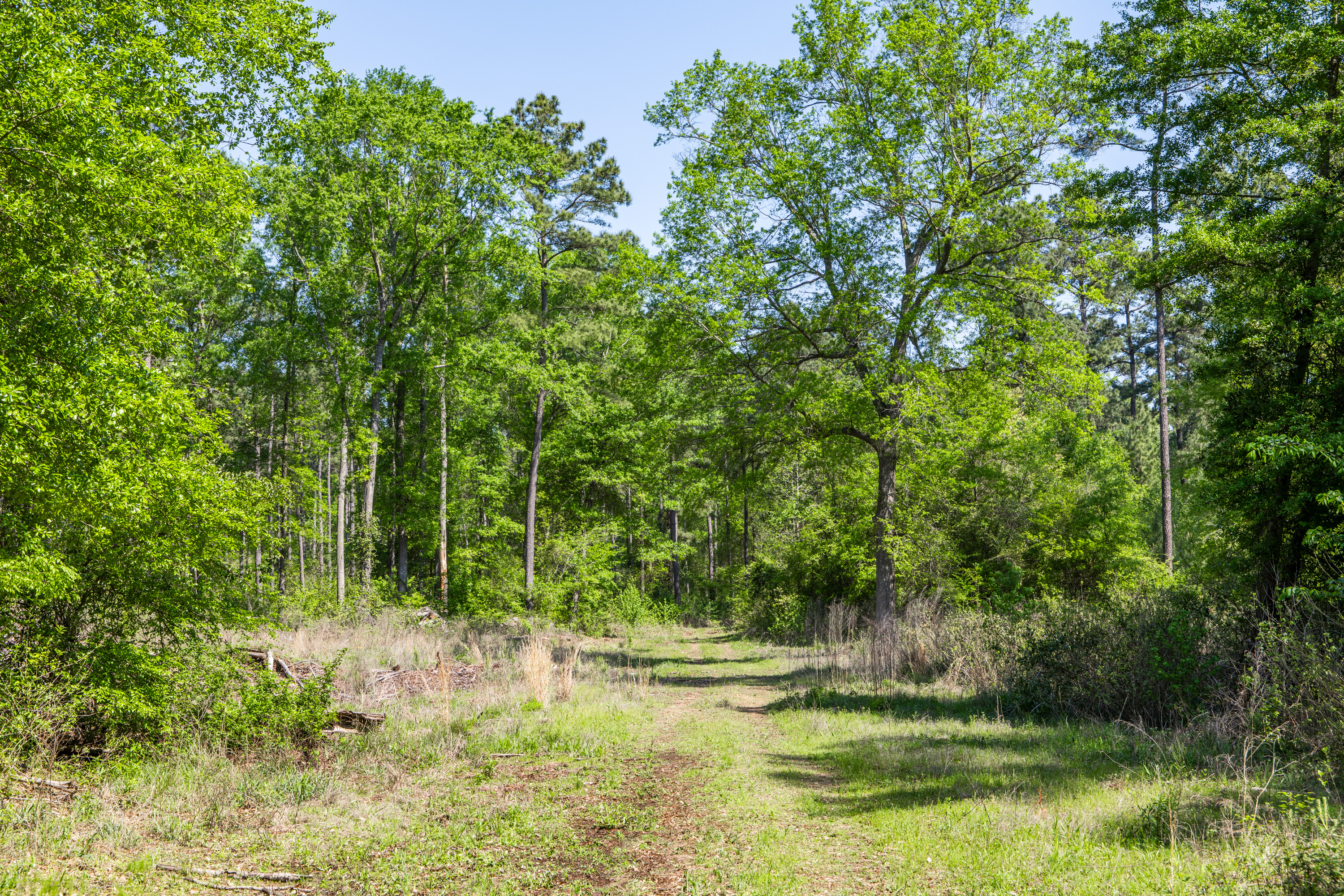 01 County Road 3322 Leesburg TX 75451