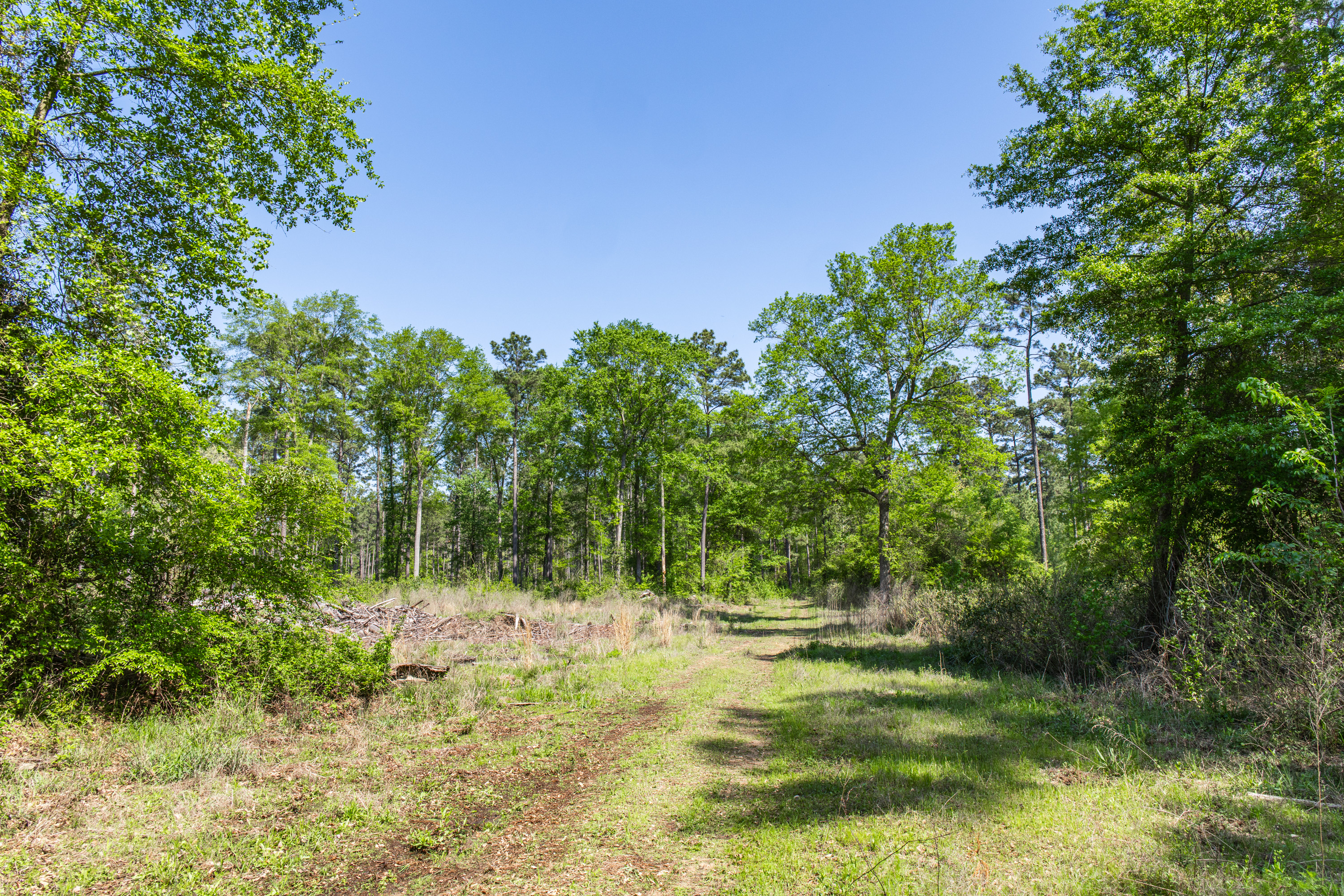 01 County Road 3322 Leesburg TX 75451