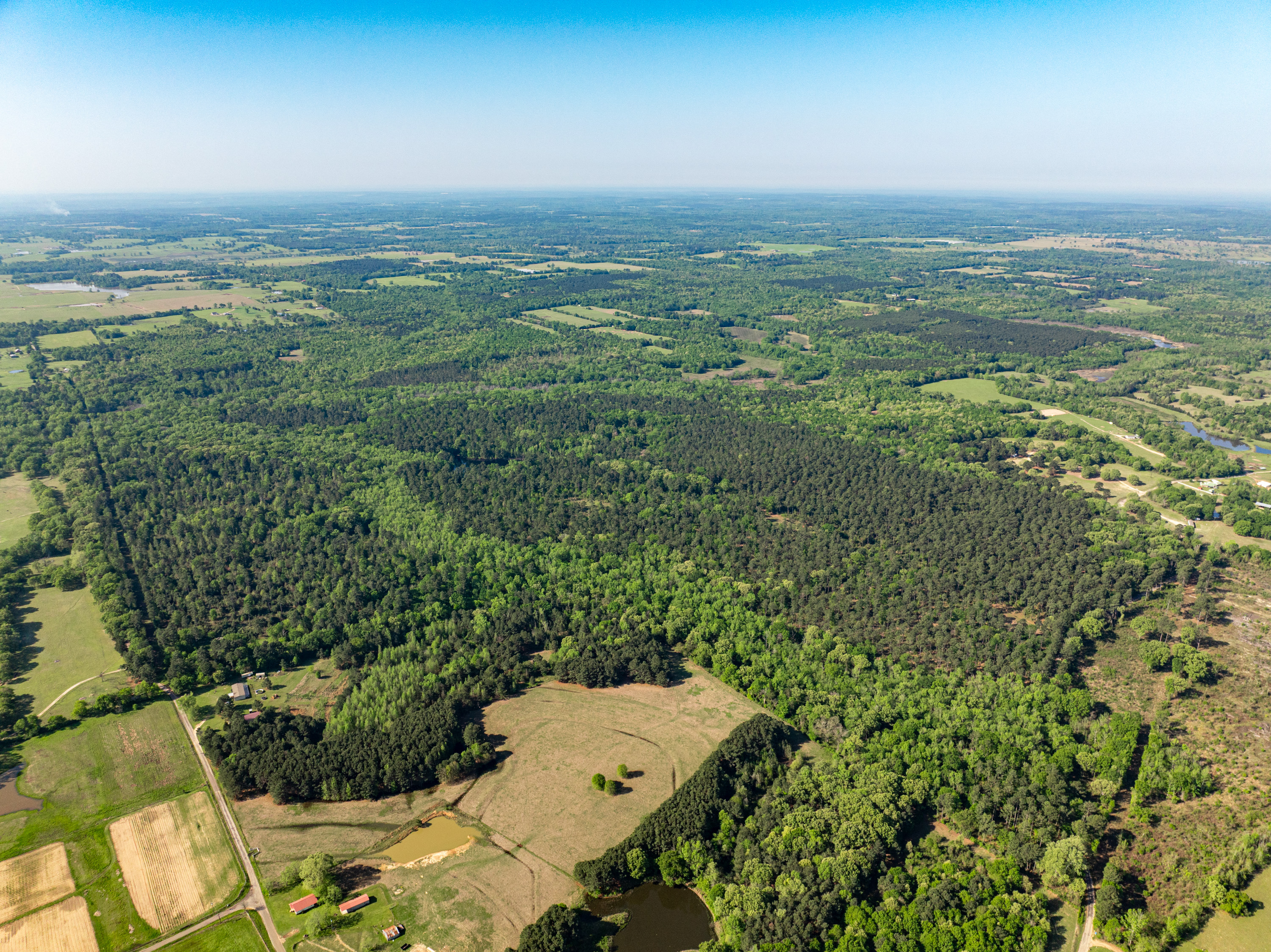 01 County Road 3322 Leesburg TX 75451