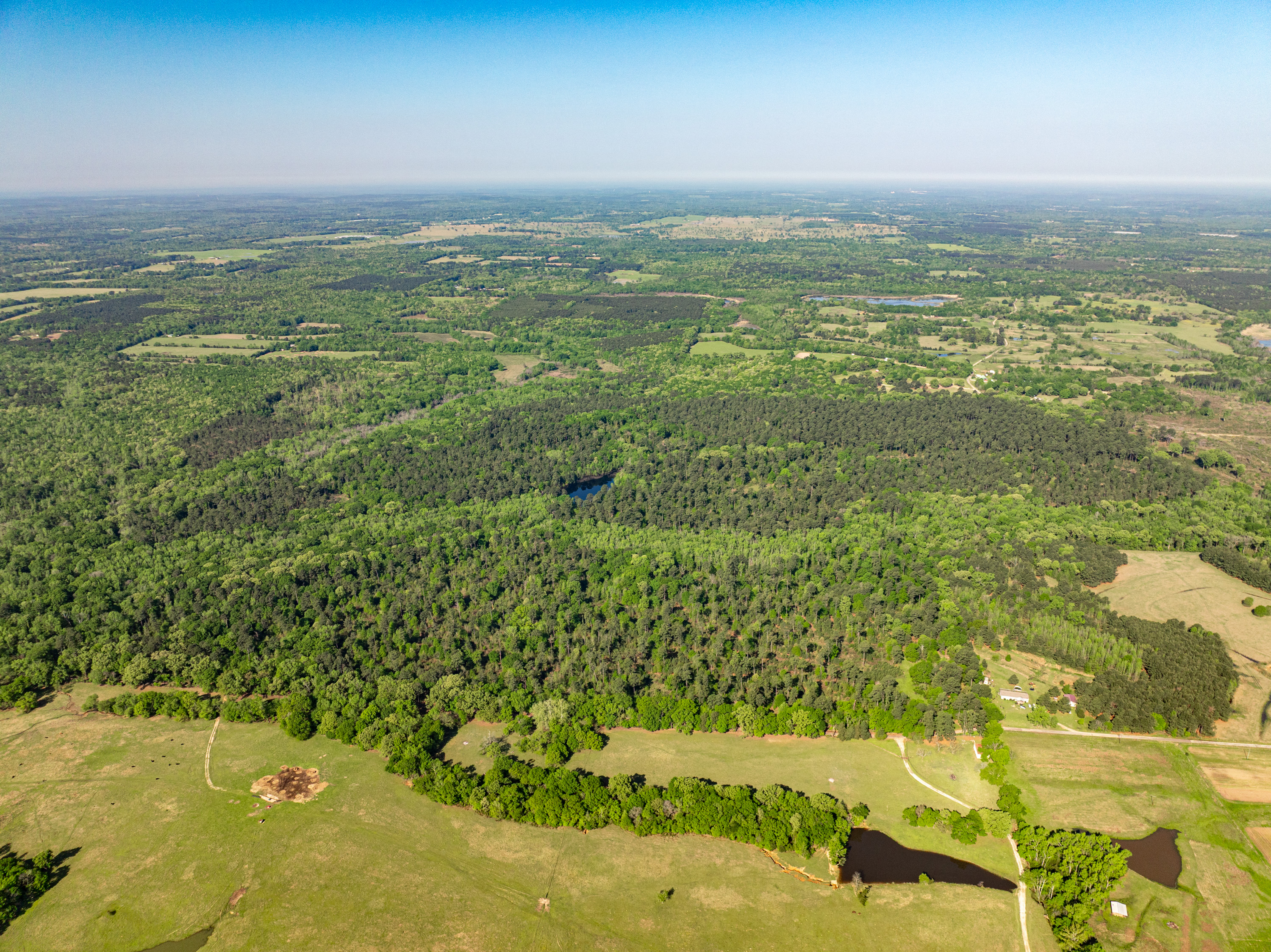 01 County Road 3322 Leesburg TX 75451