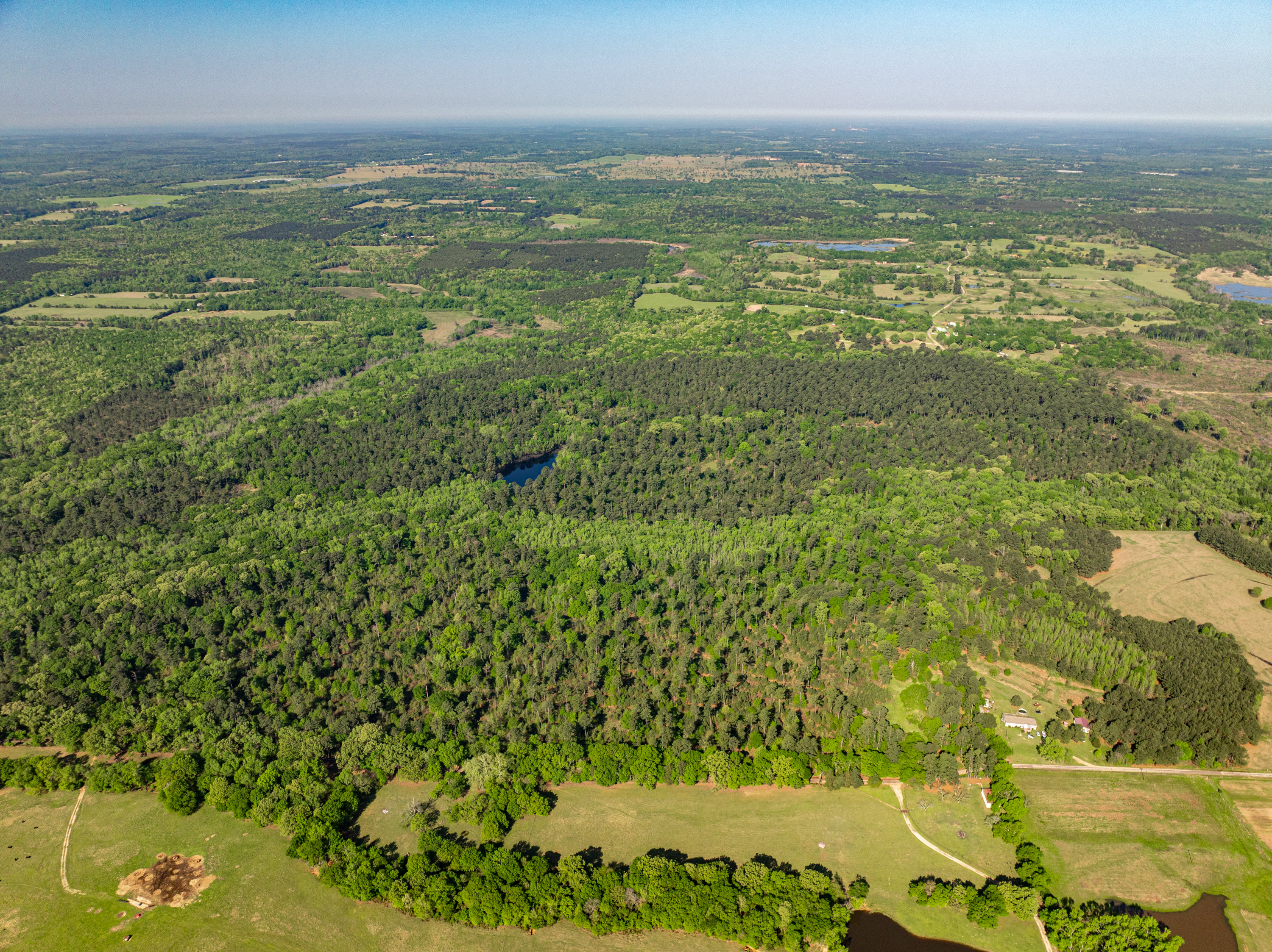 01 County Road 3322 Leesburg TX 75451