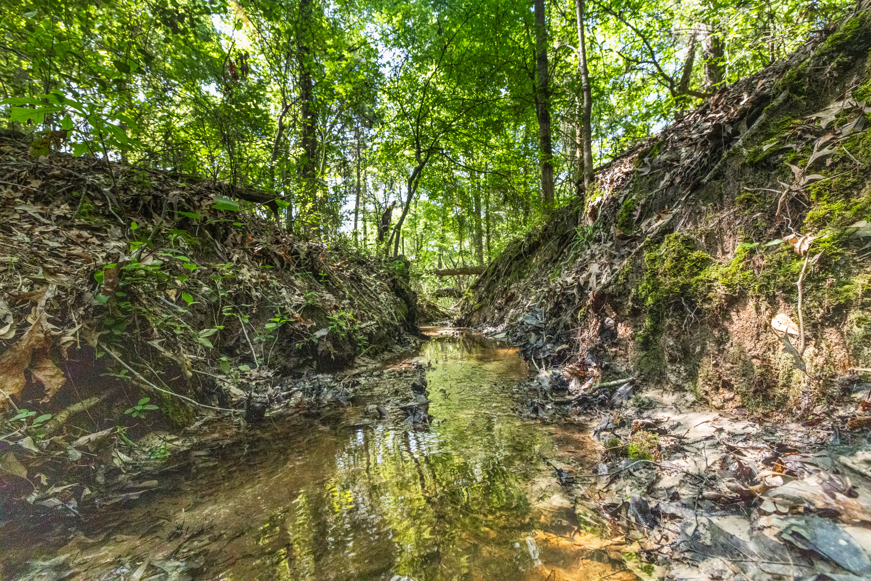 01 County Road 3322 Leesburg TX 75451