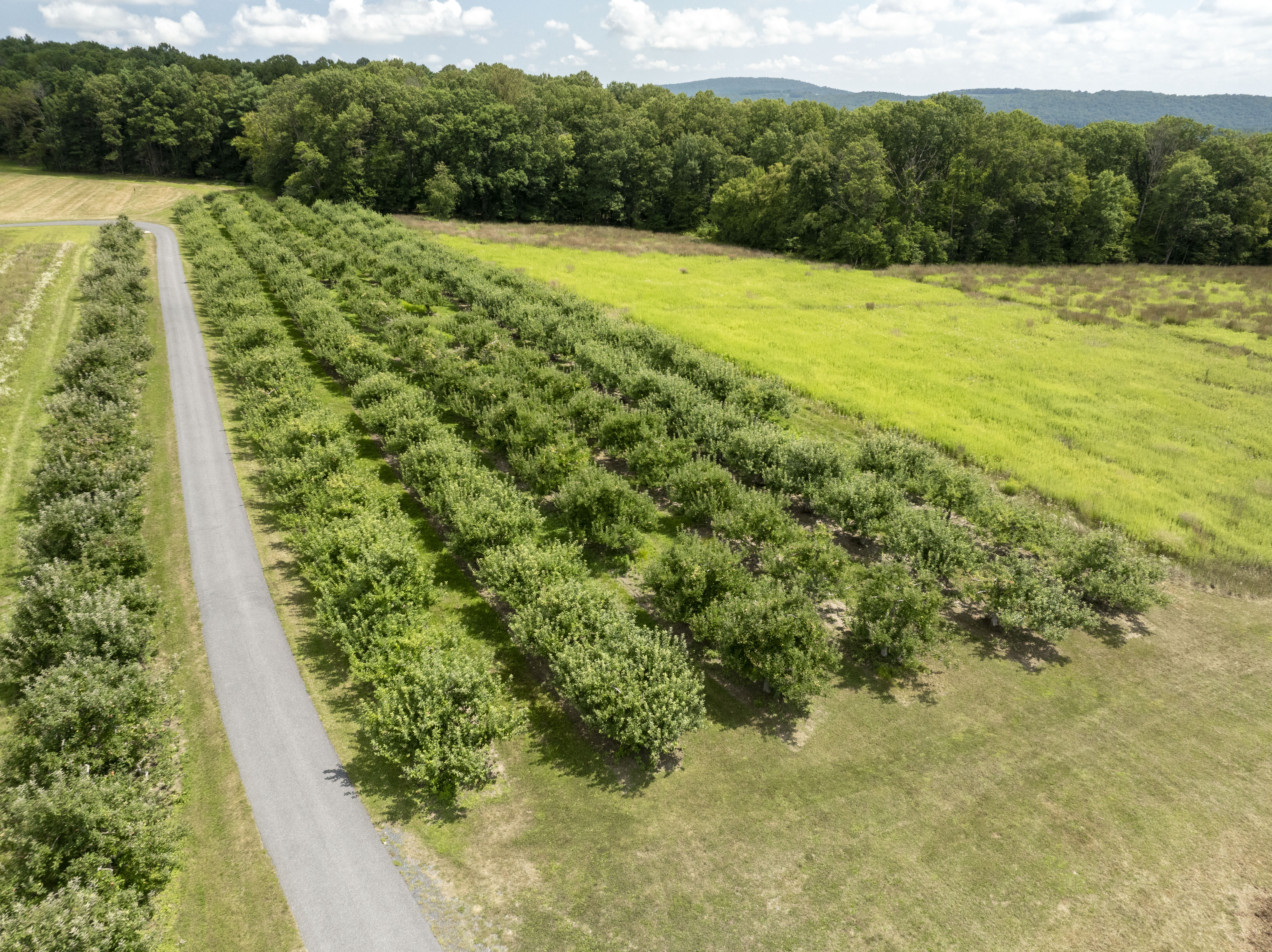 1494 Mountain Road Orrtanna PA 17353