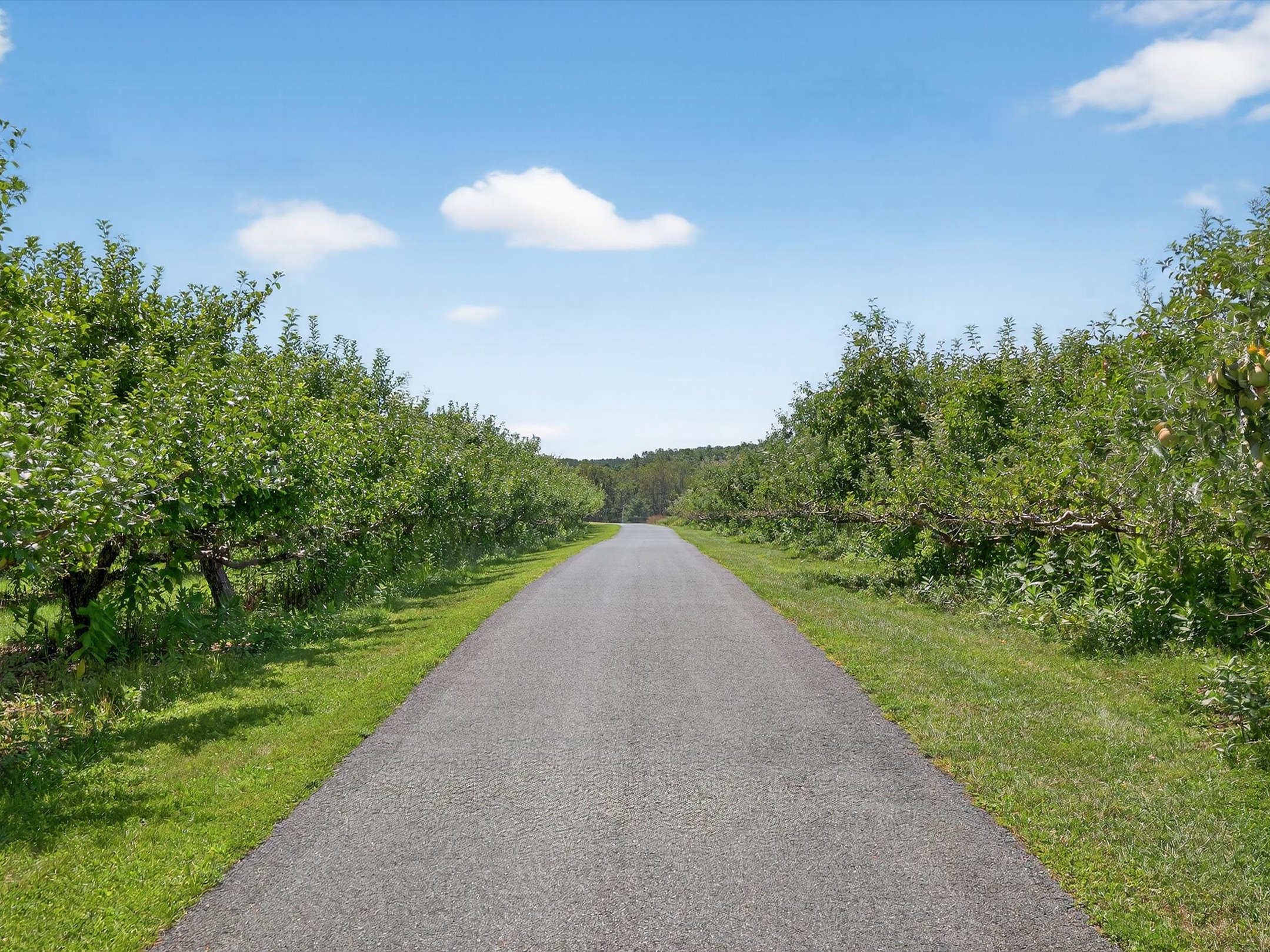 1494 Mountain Road Orrtanna PA 17353