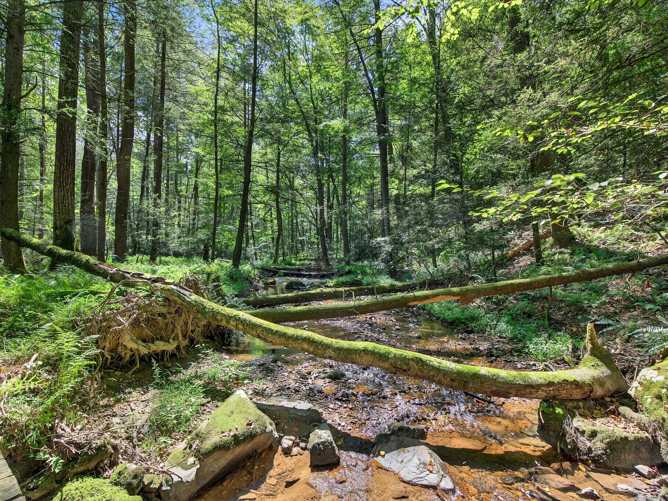 1494 Mountain Road Orrtanna PA 17353