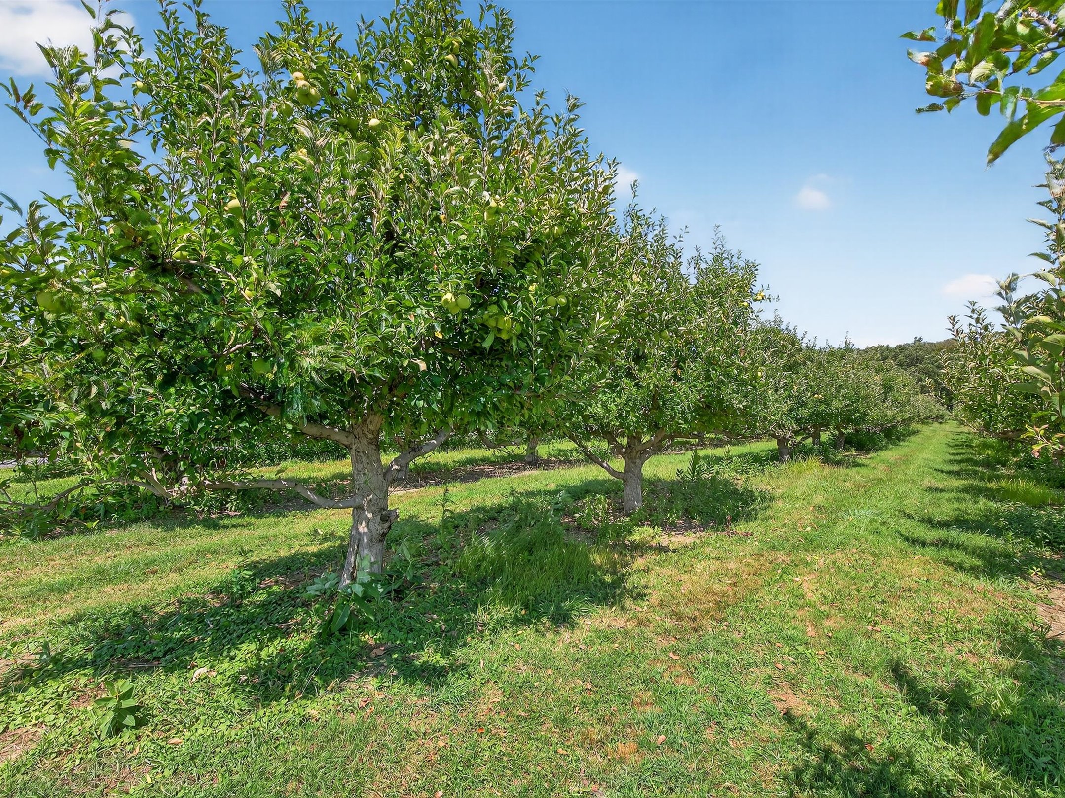 1494 Mountain Road Orrtanna PA 17353