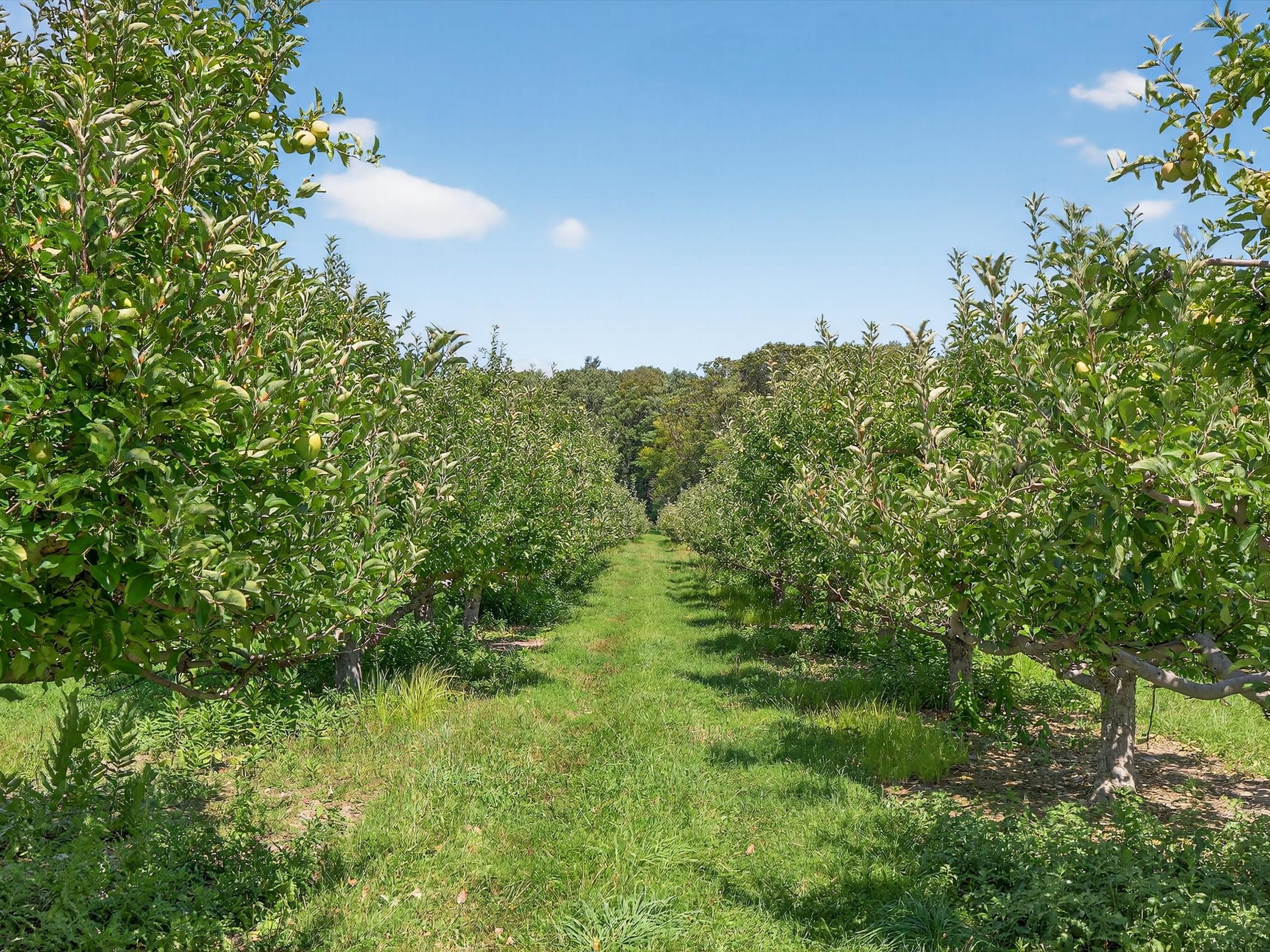 1494 Mountain Road Orrtanna PA 17353