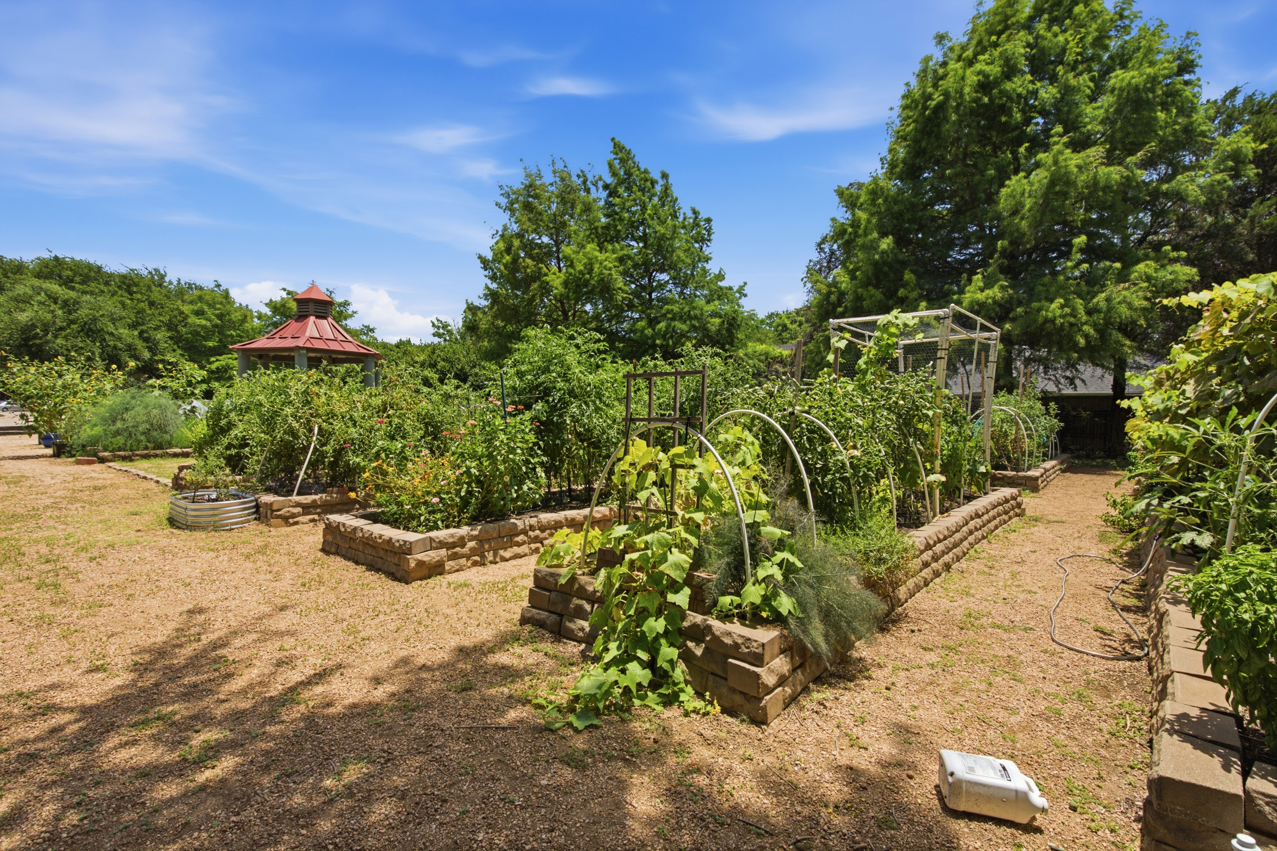 14584 Blueberry Court Addison TX 75001