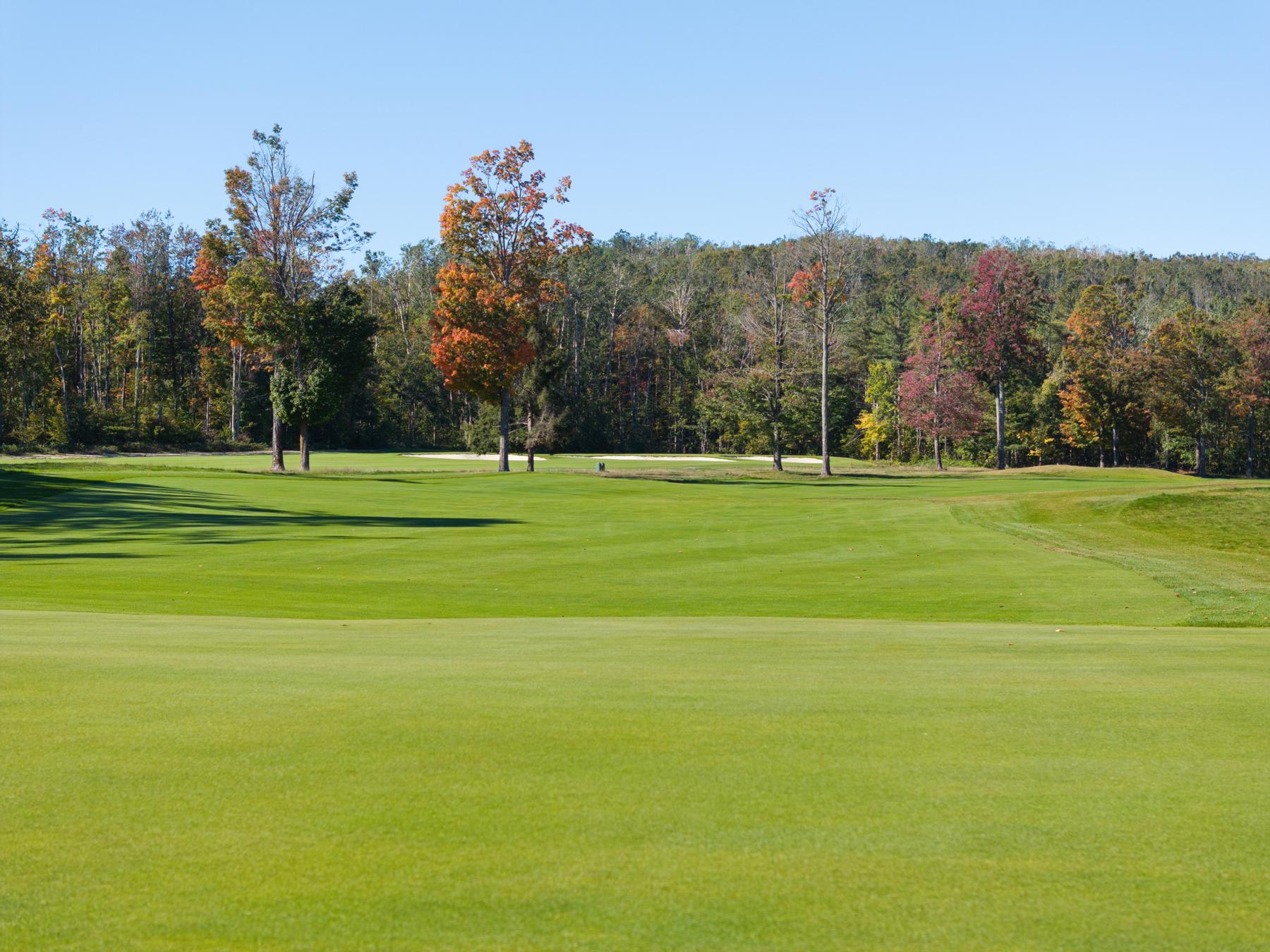 4251 Pinehurst Lane Harbor Springs MI 49740