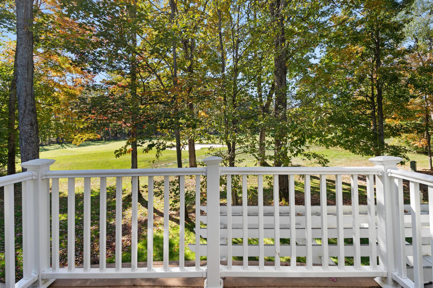 4251 Pinehurst Lane Harbor Springs MI 49740