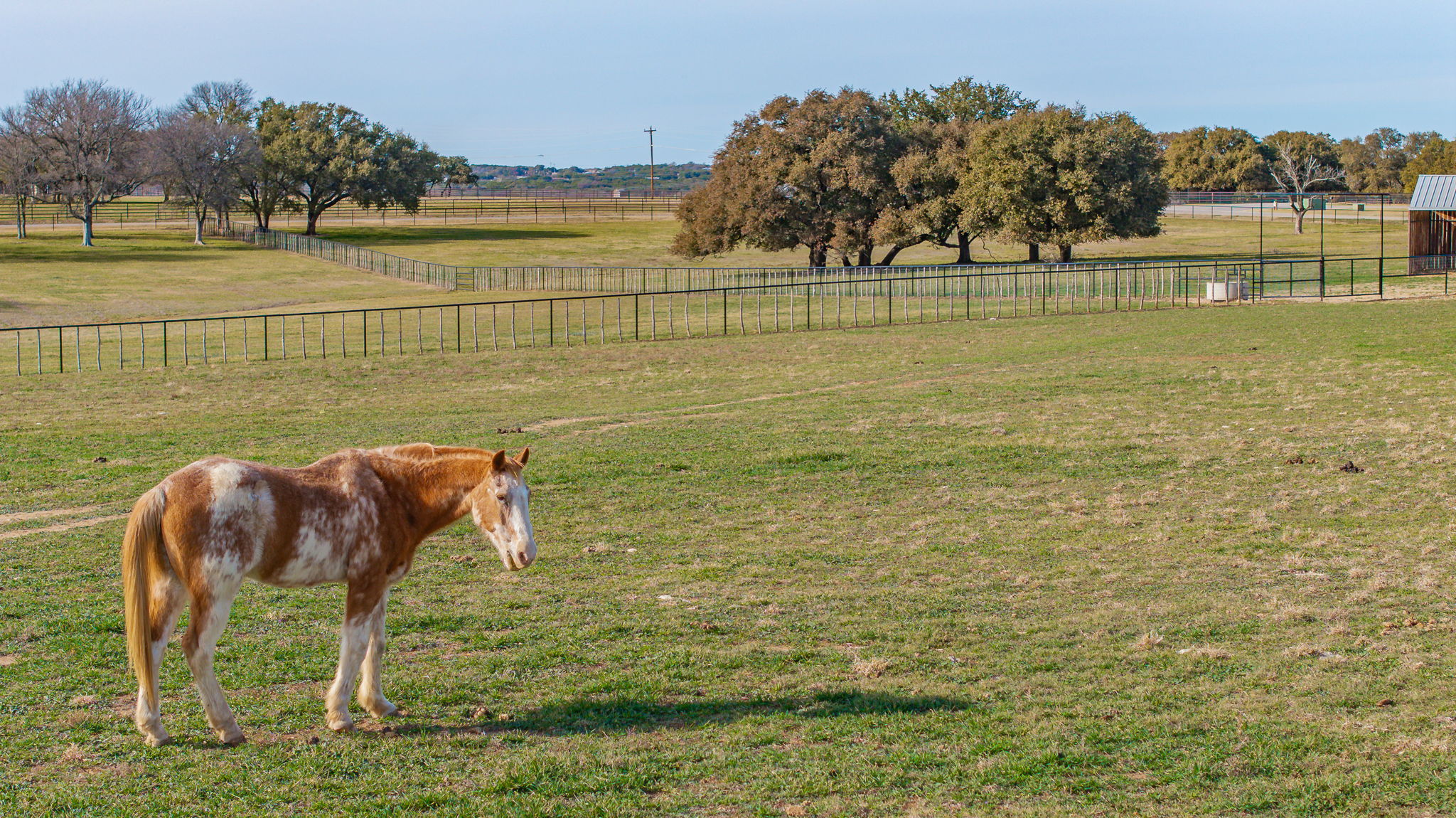 221 Silver Spur Weatherford TX 76087