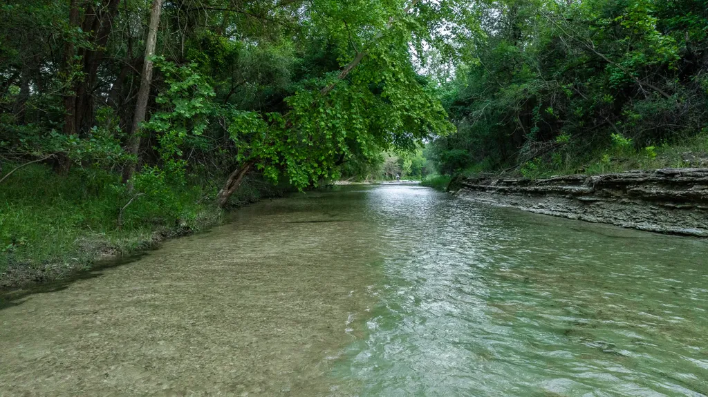 10917 Fm 1434 (981 Acres) Cleburne TX 76033