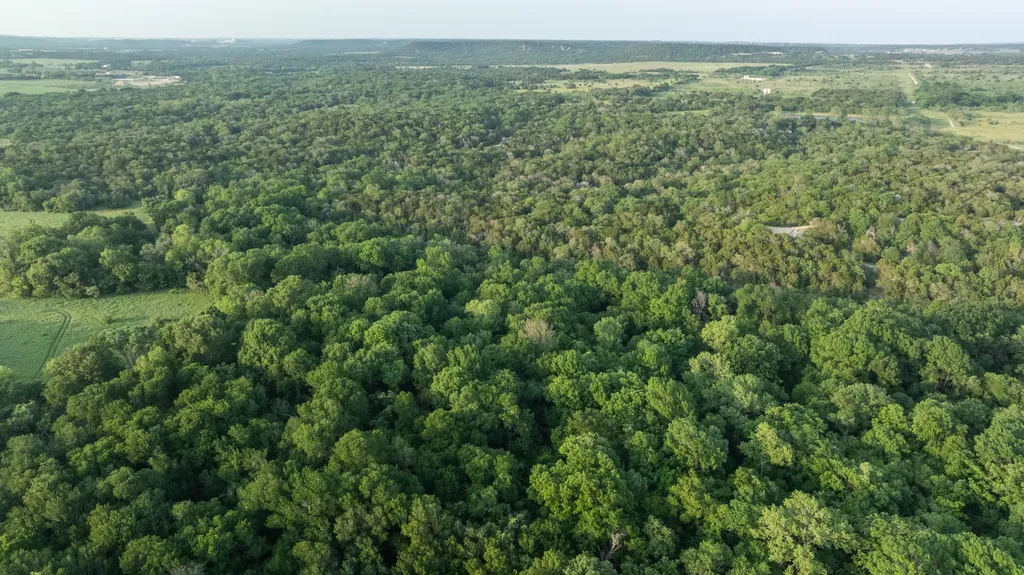 10917 Fm 1434 (981 Acres) Cleburne TX 76033