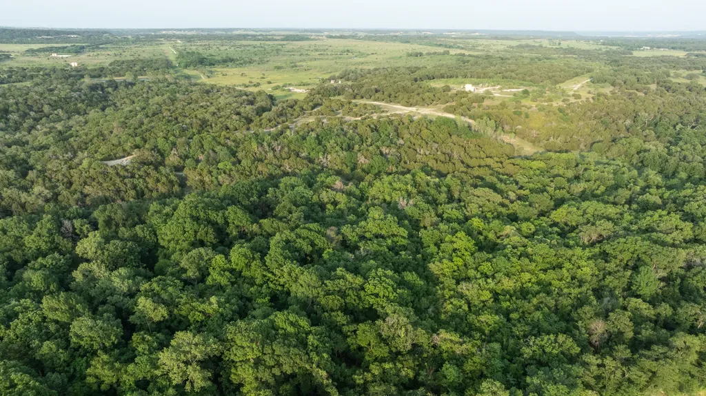 10917 Fm 1434 (981 Acres) Cleburne TX 76033