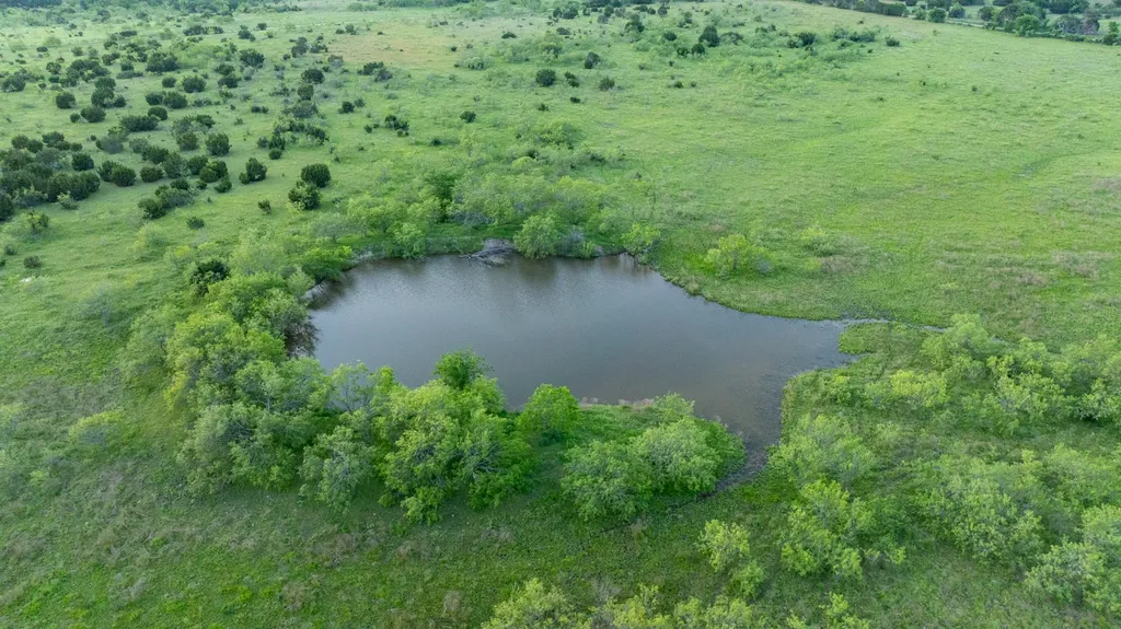 10917 Fm 1434 (981 Acres) Cleburne TX 76033