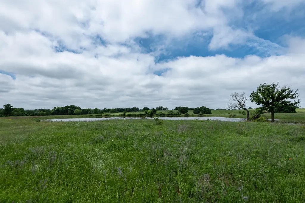 1501 Turpin Lake Road Poolville TX 76487