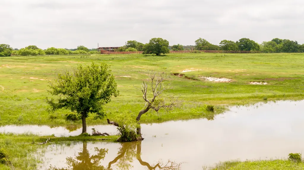 1501 Turpin Lake Road Poolville TX 76487