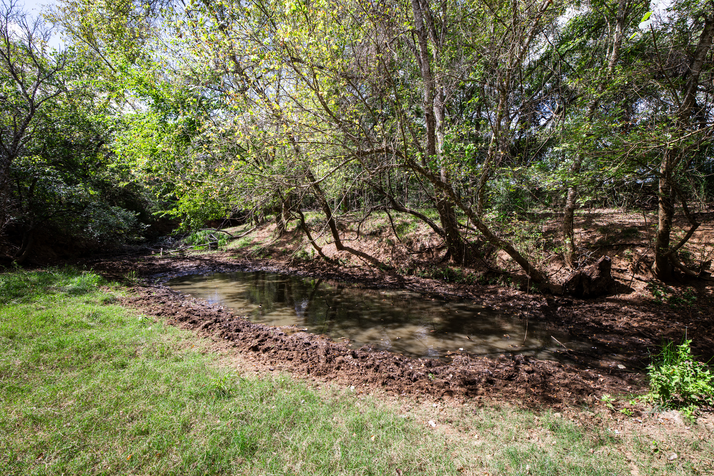 Tbd County Road 155 Nixon TX 78125