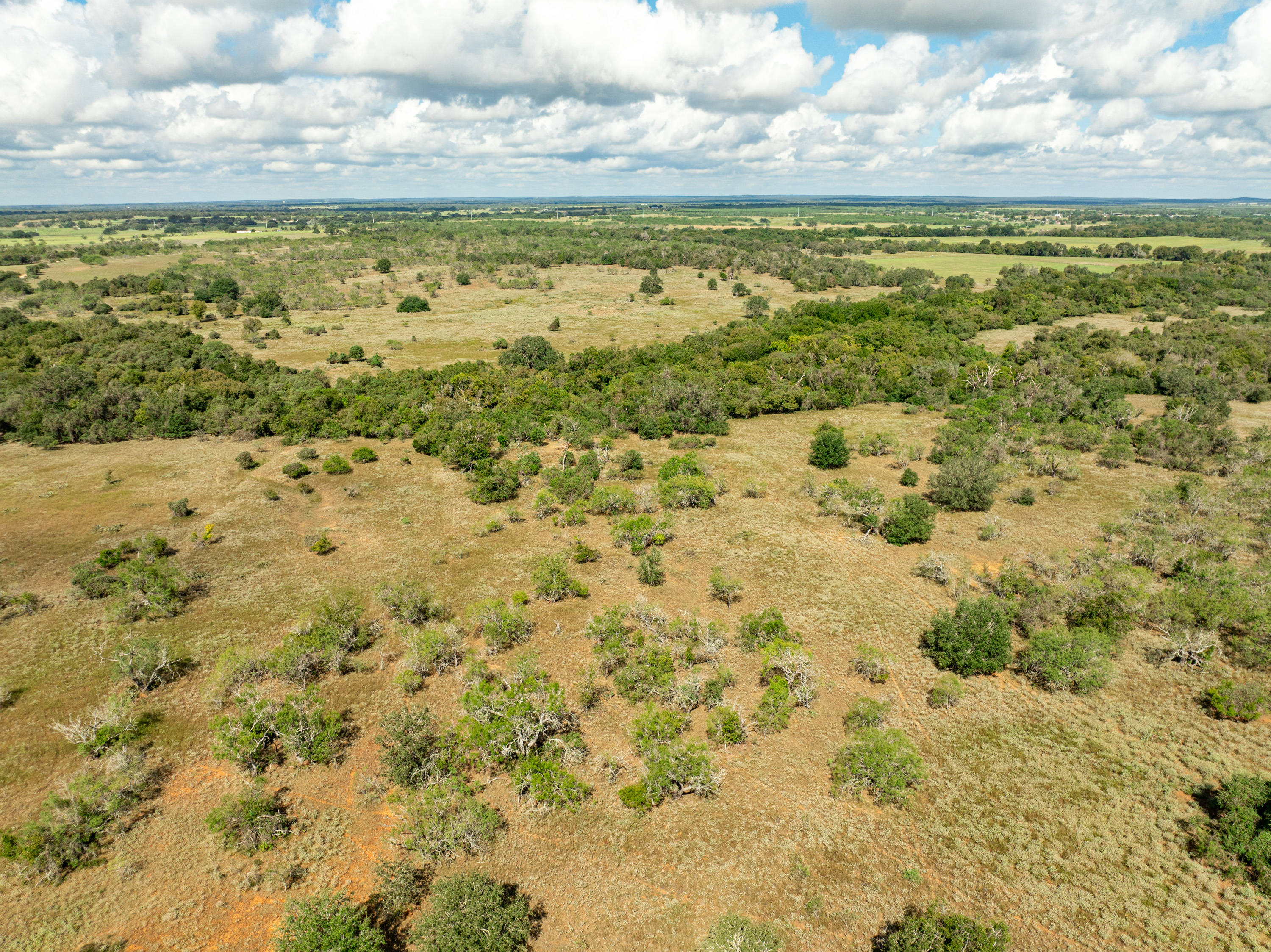 Tbd County Road 155 Nixon TX 78125