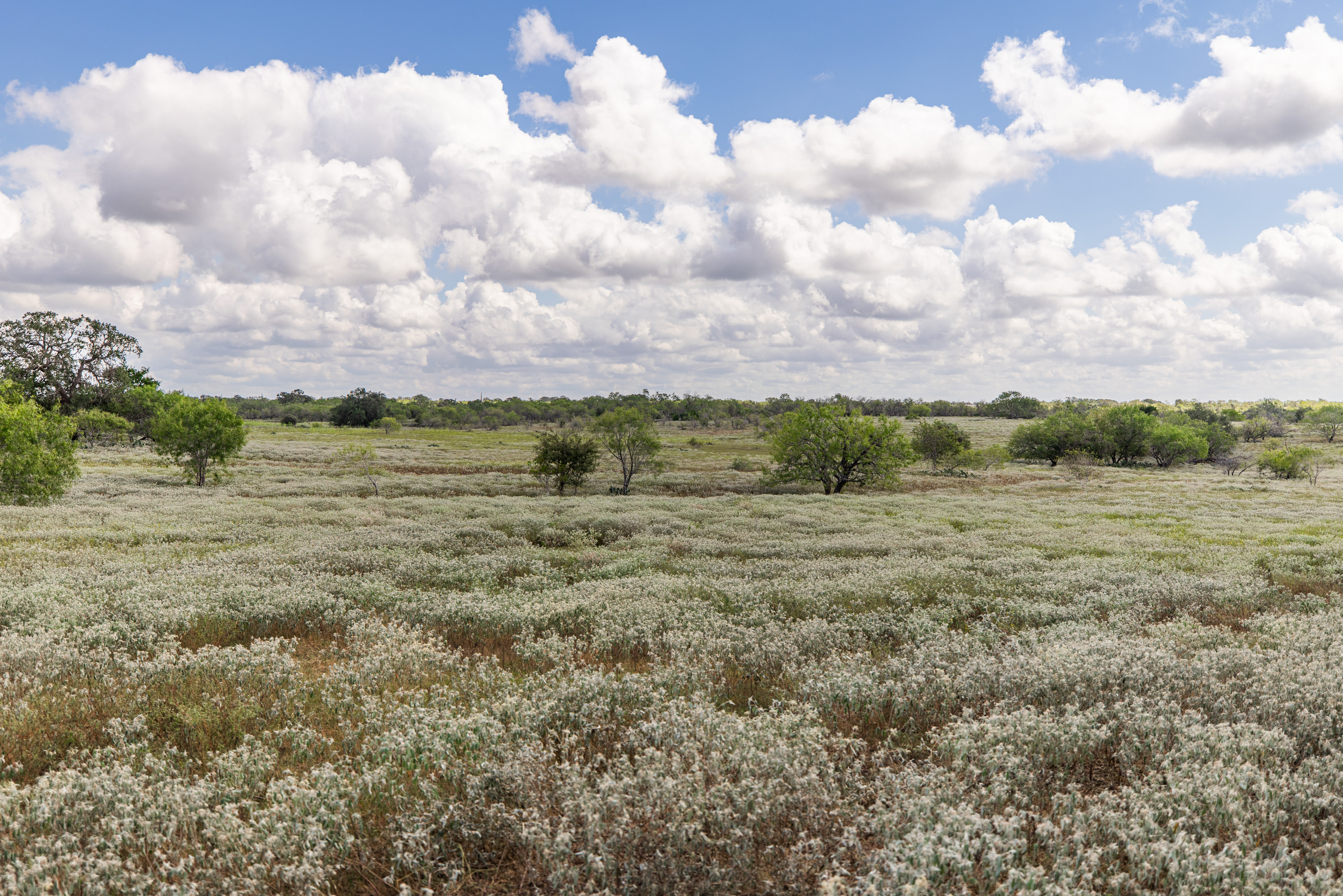 Tbd County Road 155 Nixon TX 78125